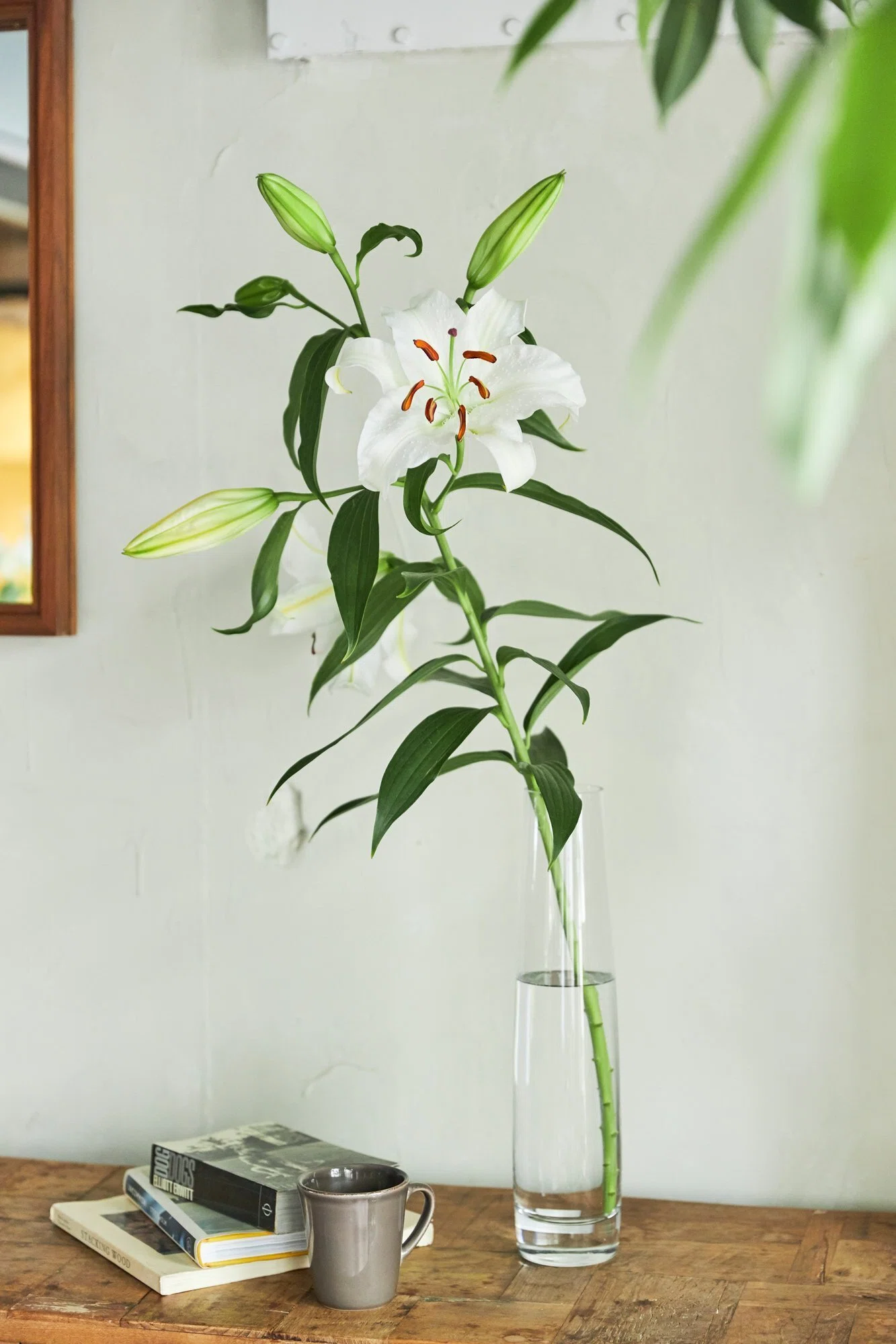旬の花を美しく飾るには？｜ユリの魅力とスタイリング5選｜FLOWER 