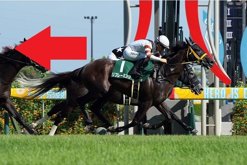 ナチュラルライズ　馬券　カトレアステークス　現地的中馬券　直筆サイン　騎手 騎手エージェントの内幕を知ればこんなに馬券が獲れる！ (競馬
