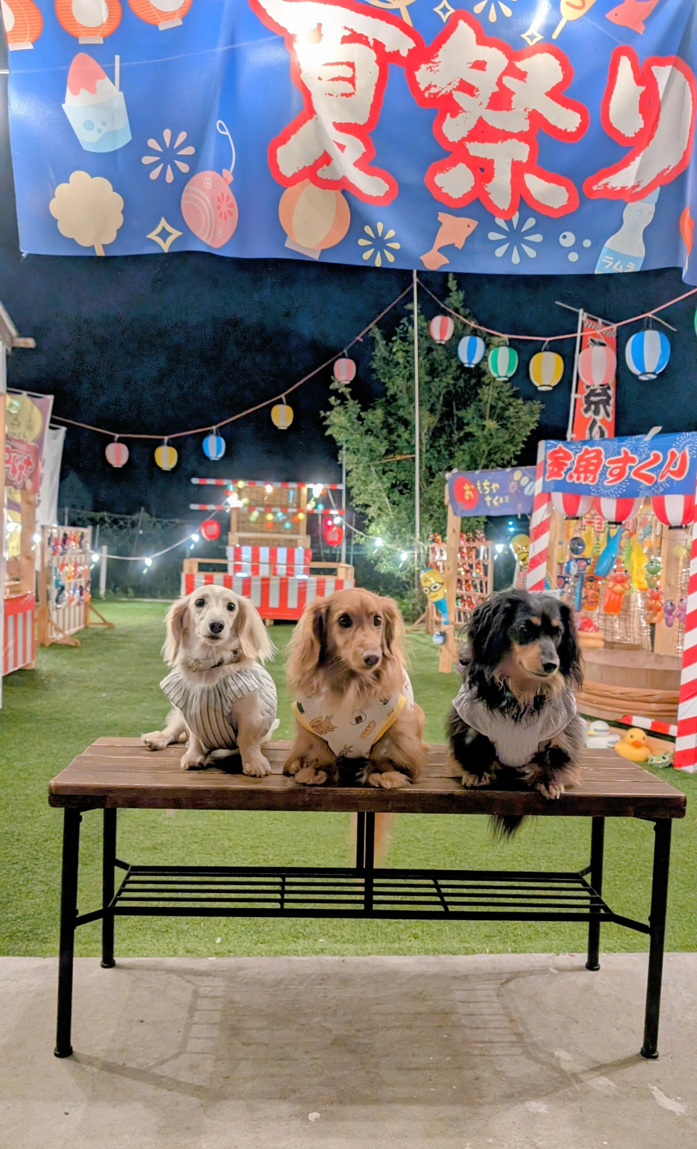 夏☆わんこ☆犬☆祭☆太鼓☆ひまわり☆すいか☆法被☆かき氷☆ヨーヨー 