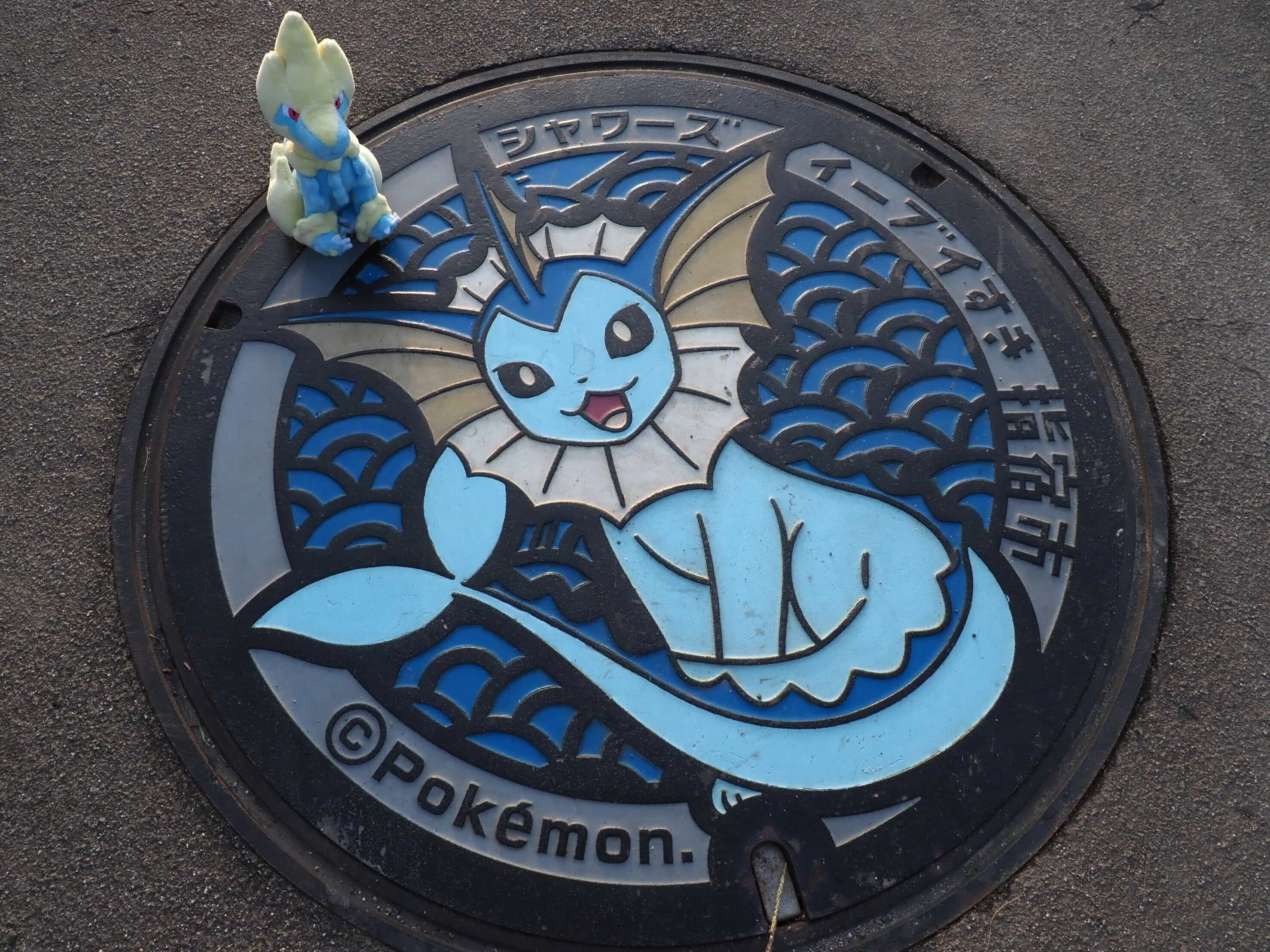 ポケふた】ライボルトと指宿ブイズ巡り｜サトリ