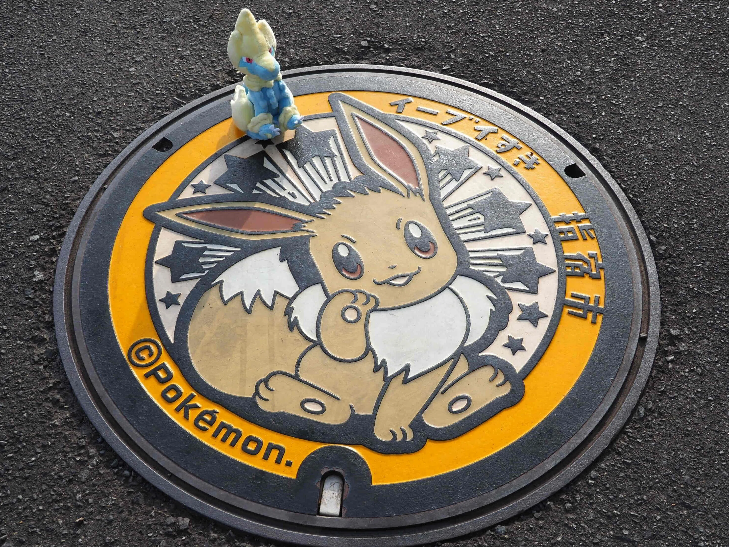 ポケふた】ライボルトと指宿ブイズ巡り｜サトリ