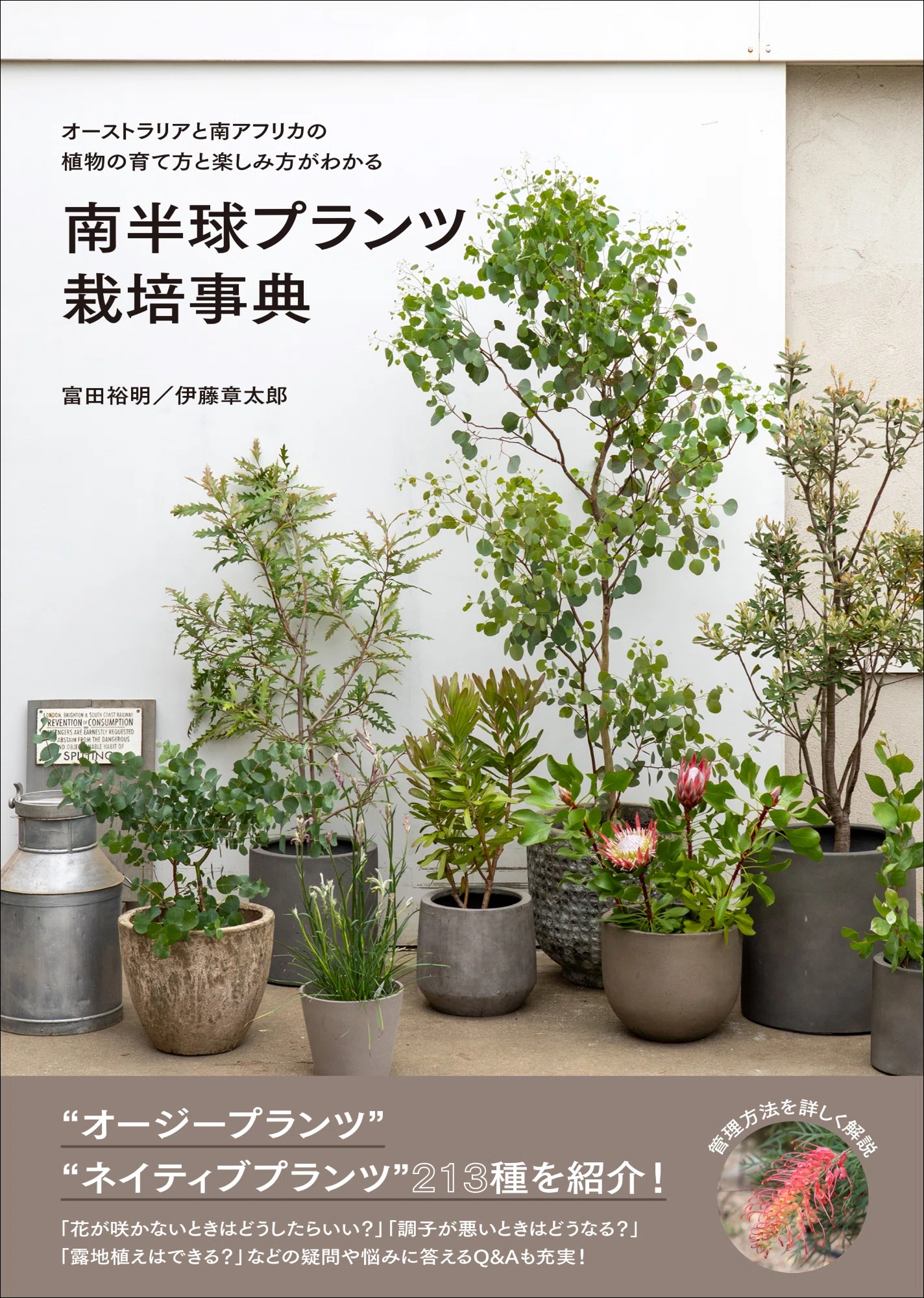 個性的な色やかたちが大人気】国内初の“オージープランツ