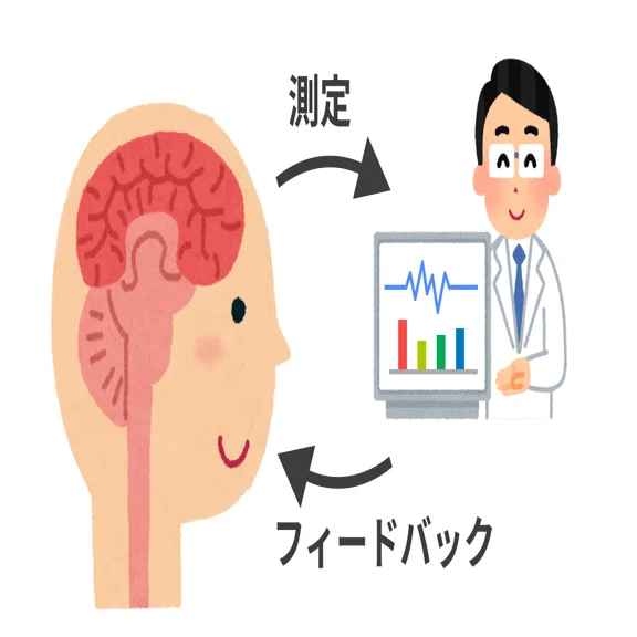 書籍解説】『身体はトラウマを記録する』の要約と実践考察〜脳と身体の