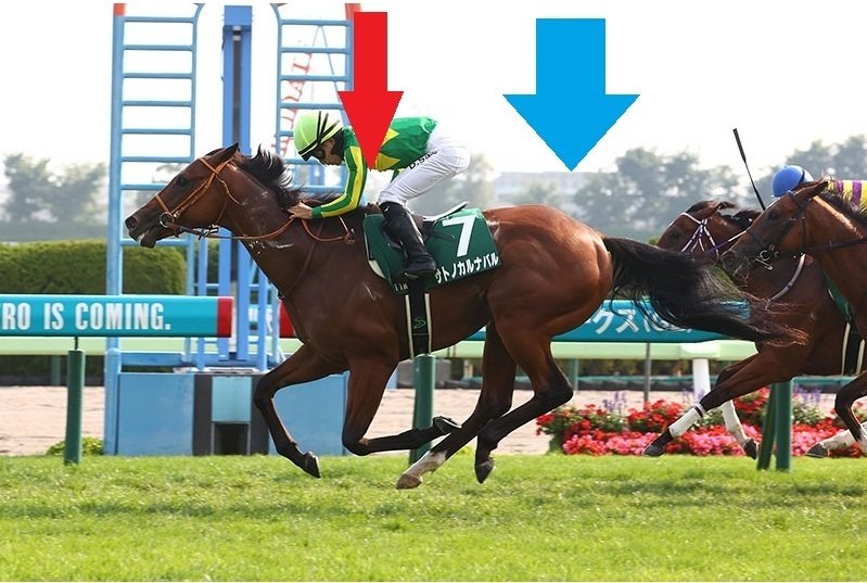 ナチュラルライズ　馬券　カトレアステークス　現地的中馬券　直筆サイン　騎手 ナチュラルライズ 馬券 カトレアステークス 現地的中馬券 直筆