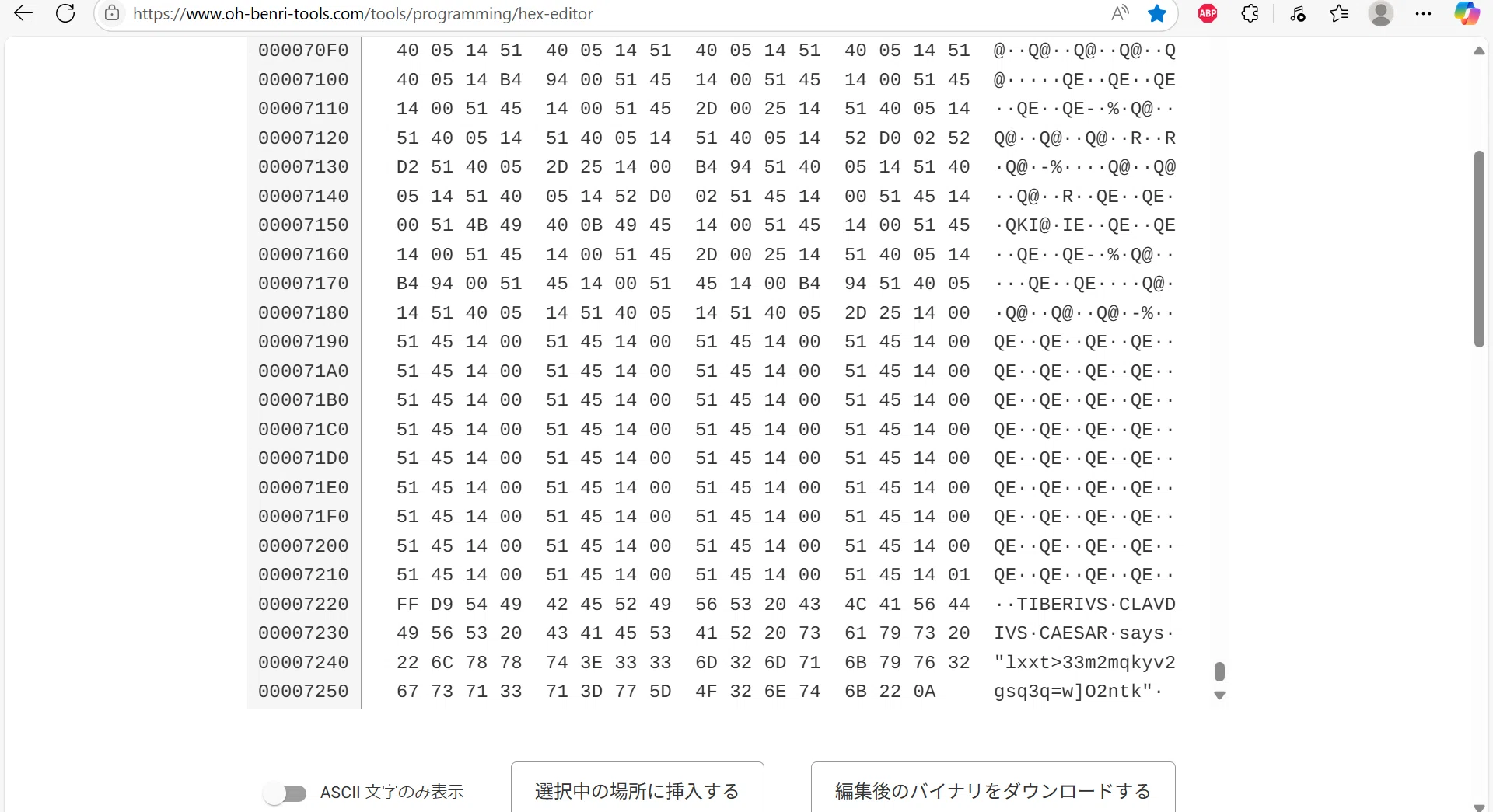 解説記事_Cicada3301｜ねりもの。