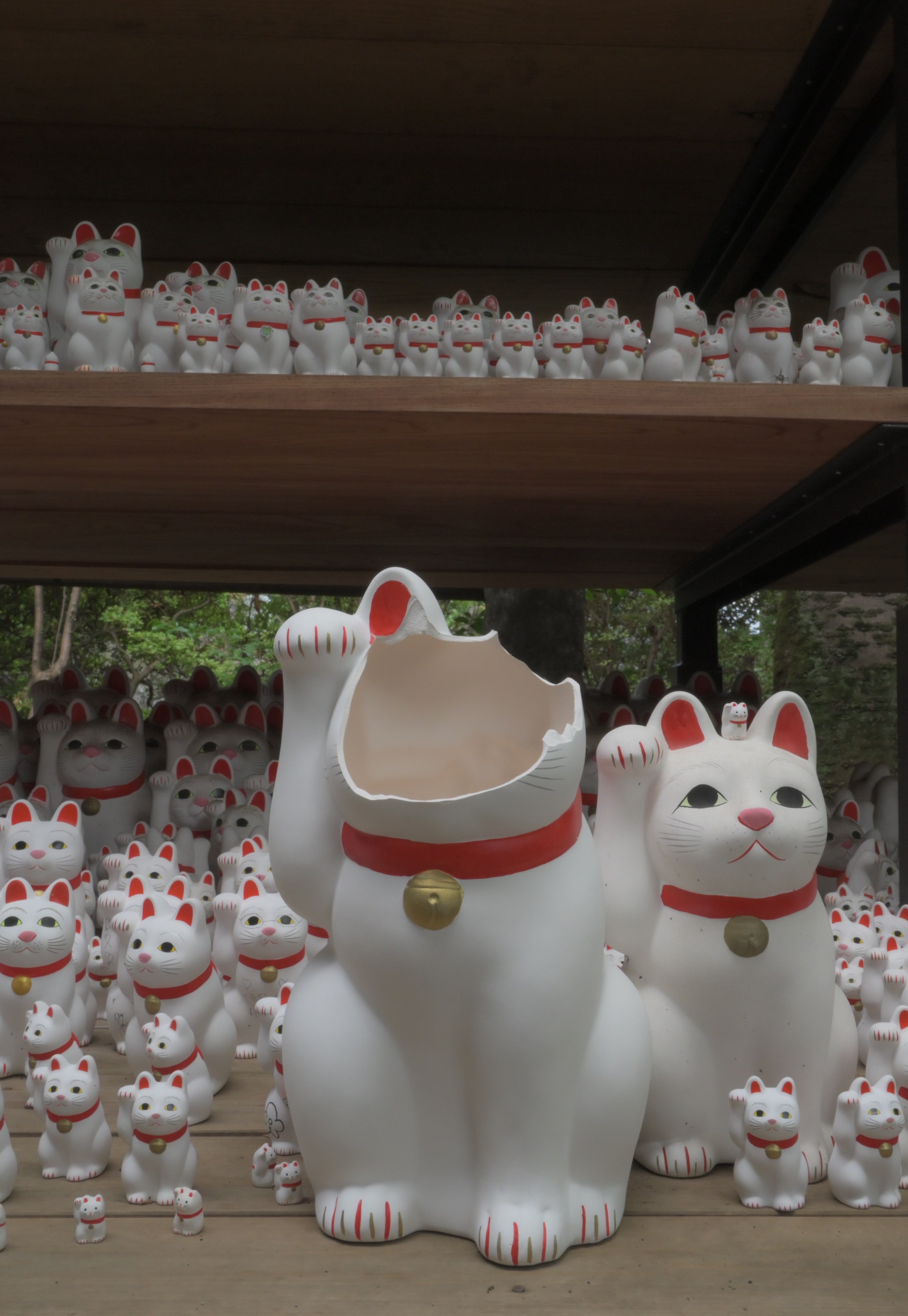 異質であることの尊さ｜永瀬もなみ（もなみん）