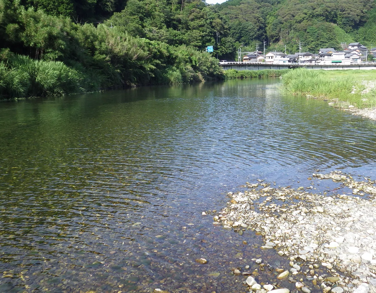 画像