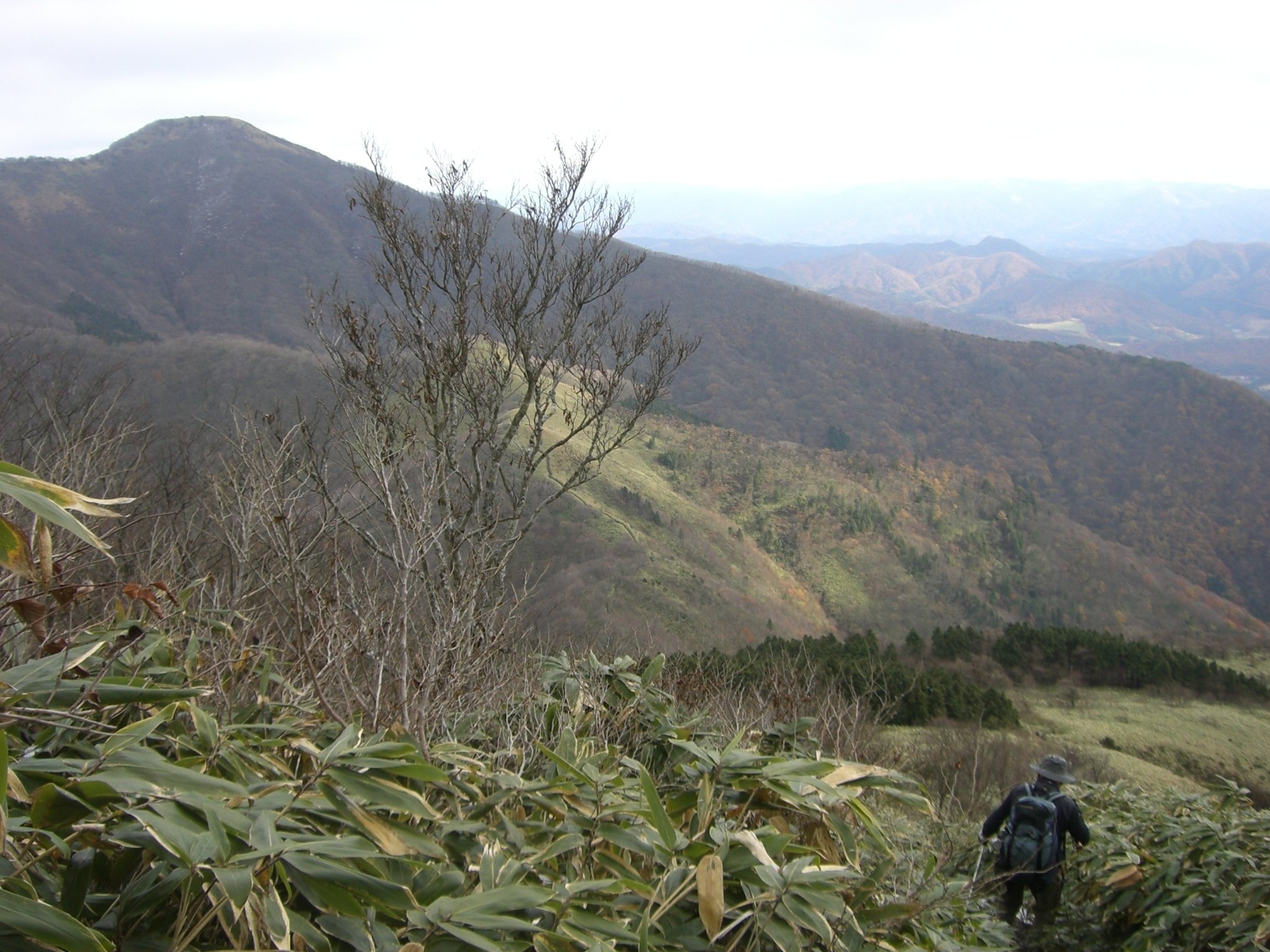 山登り人生VOL668初めての蒜山三山｜させぼ山酔倶楽部 よっちゃん