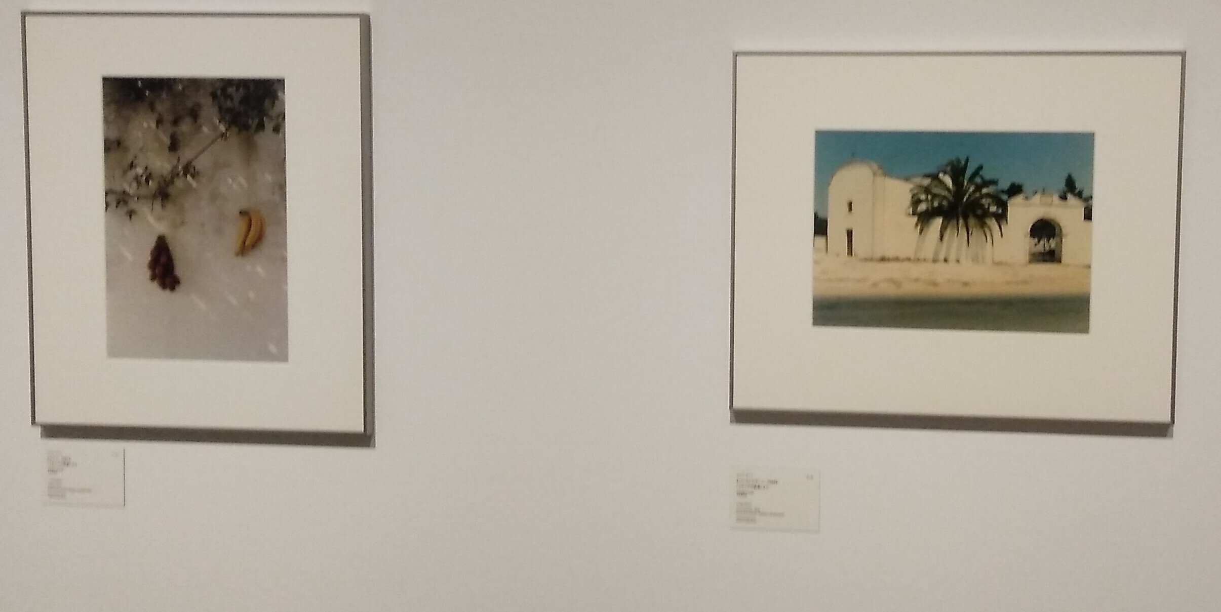2-2：TOP 30th Anniversary Luigi Ghirri -Infinite Landscapes 総合