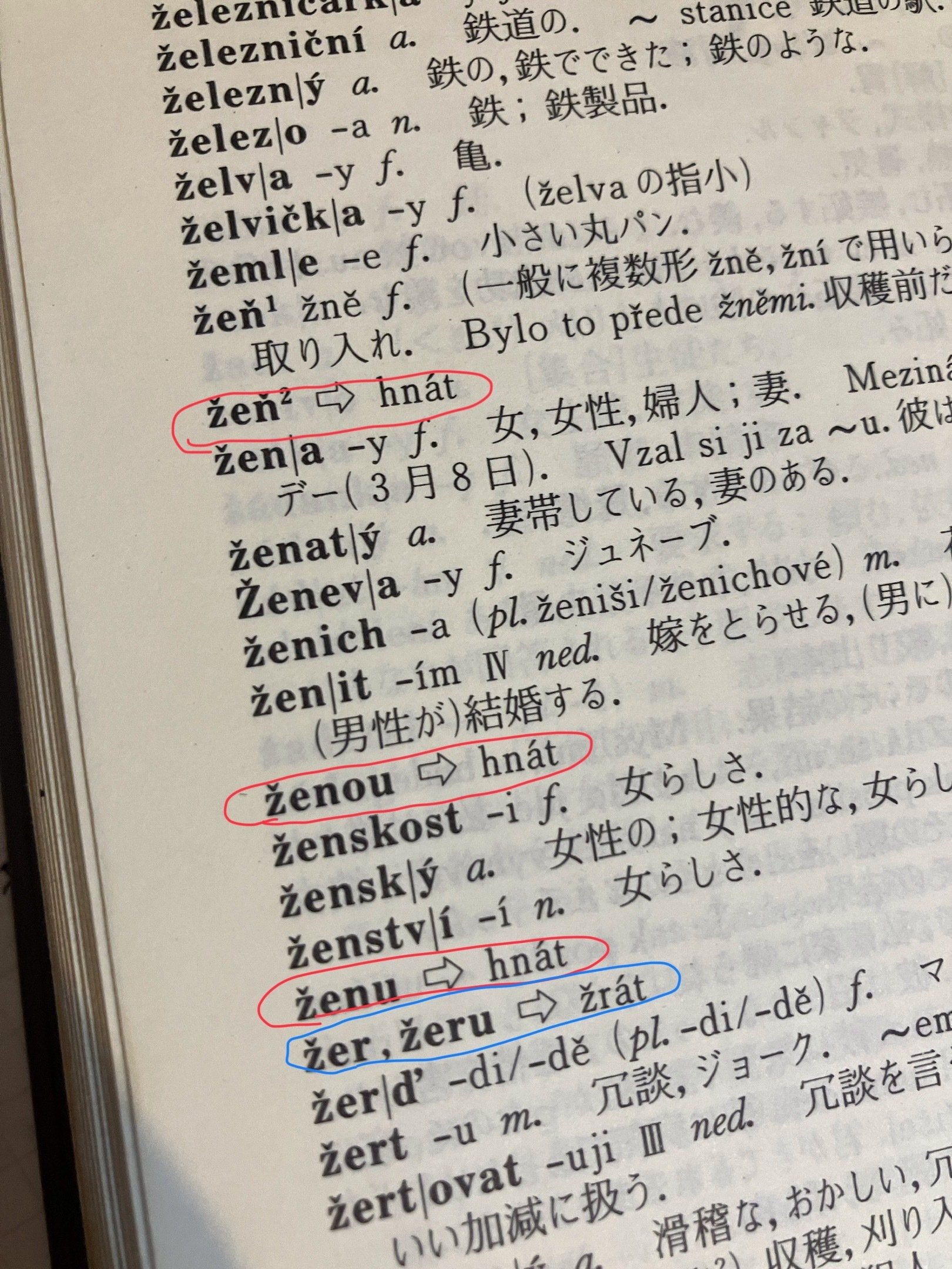 どこより早い！『パスポート初級チェコ語辞典』レビュー｜ハクメス