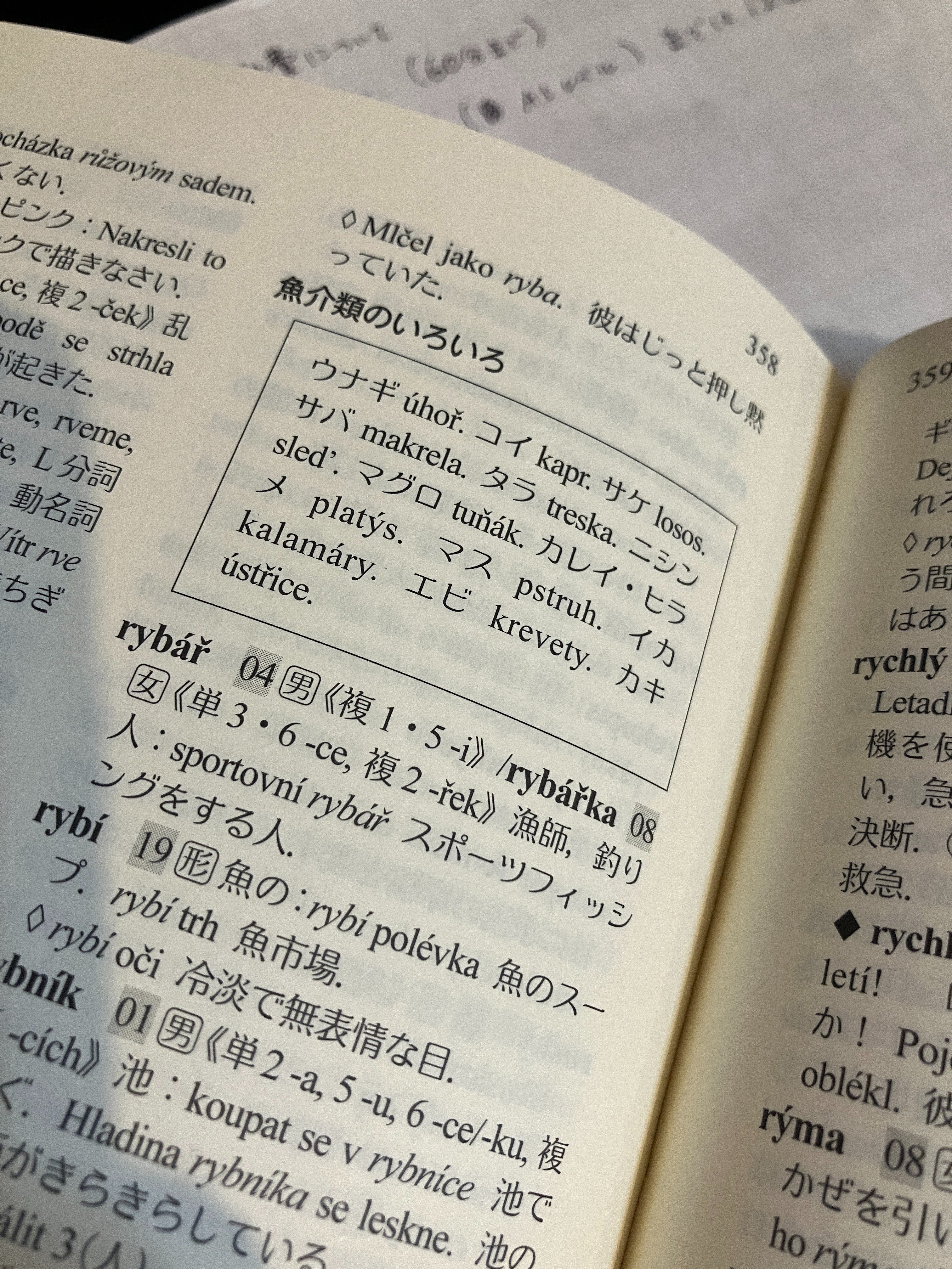 どこより早い！『パスポート初級チェコ語辞典』レビュー｜ハクメス