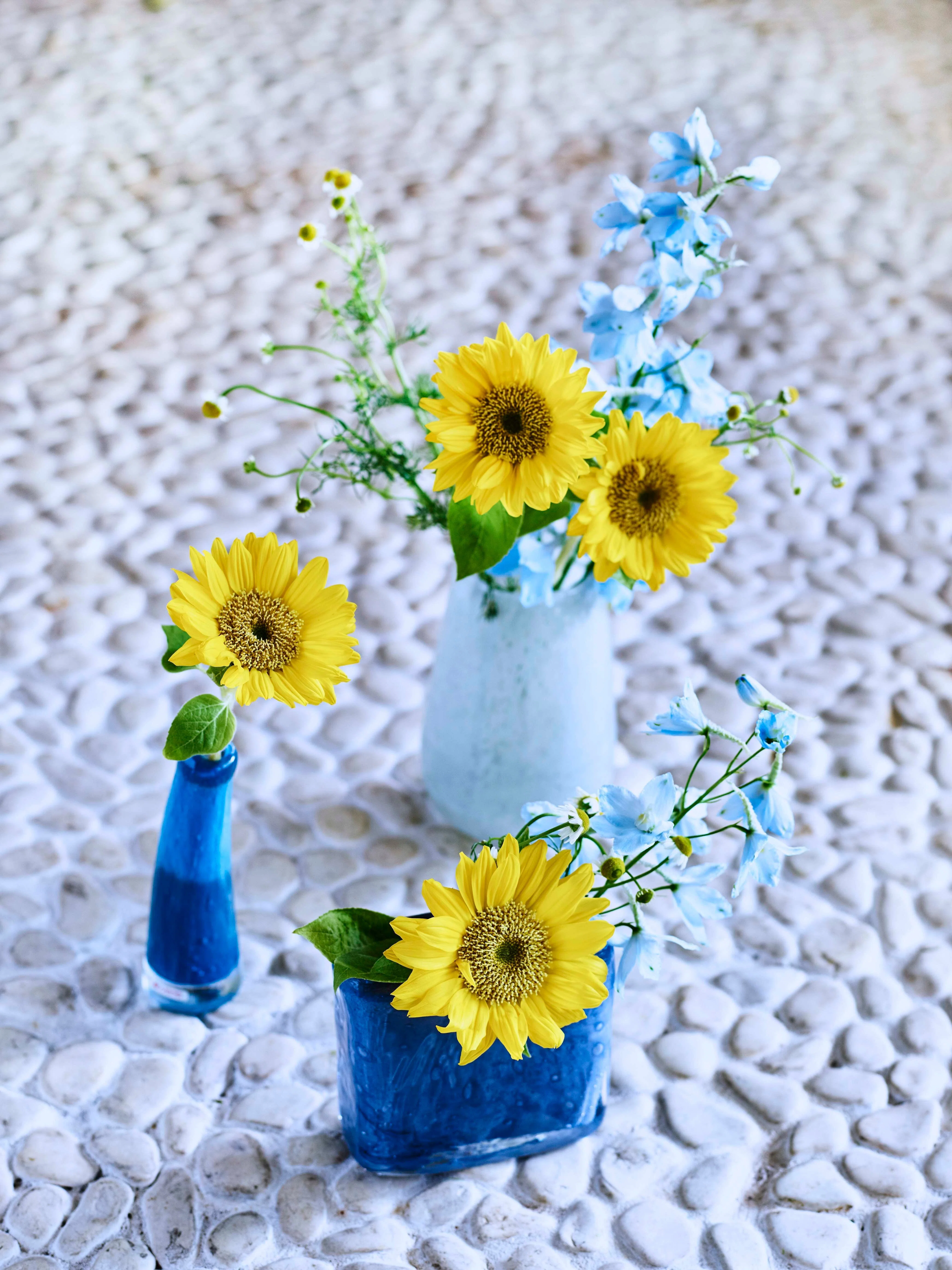 旬の花を美しく飾るには？｜ヒマワリの魅力とスタイリング5選｜FLOWER