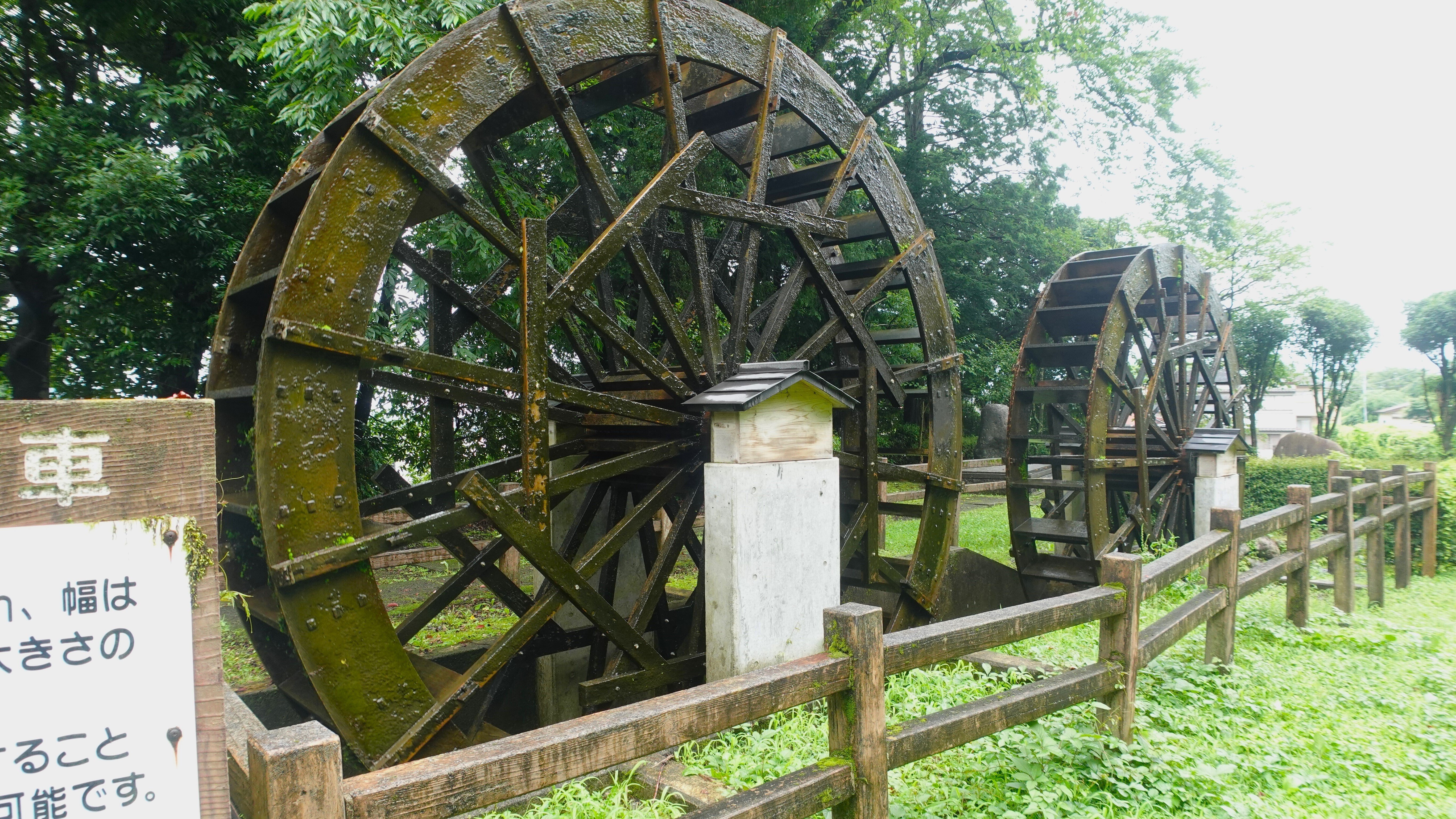 日光】地元推し 日光おすすめスポットVol.2 日光杉並木｜Nikko Fuji