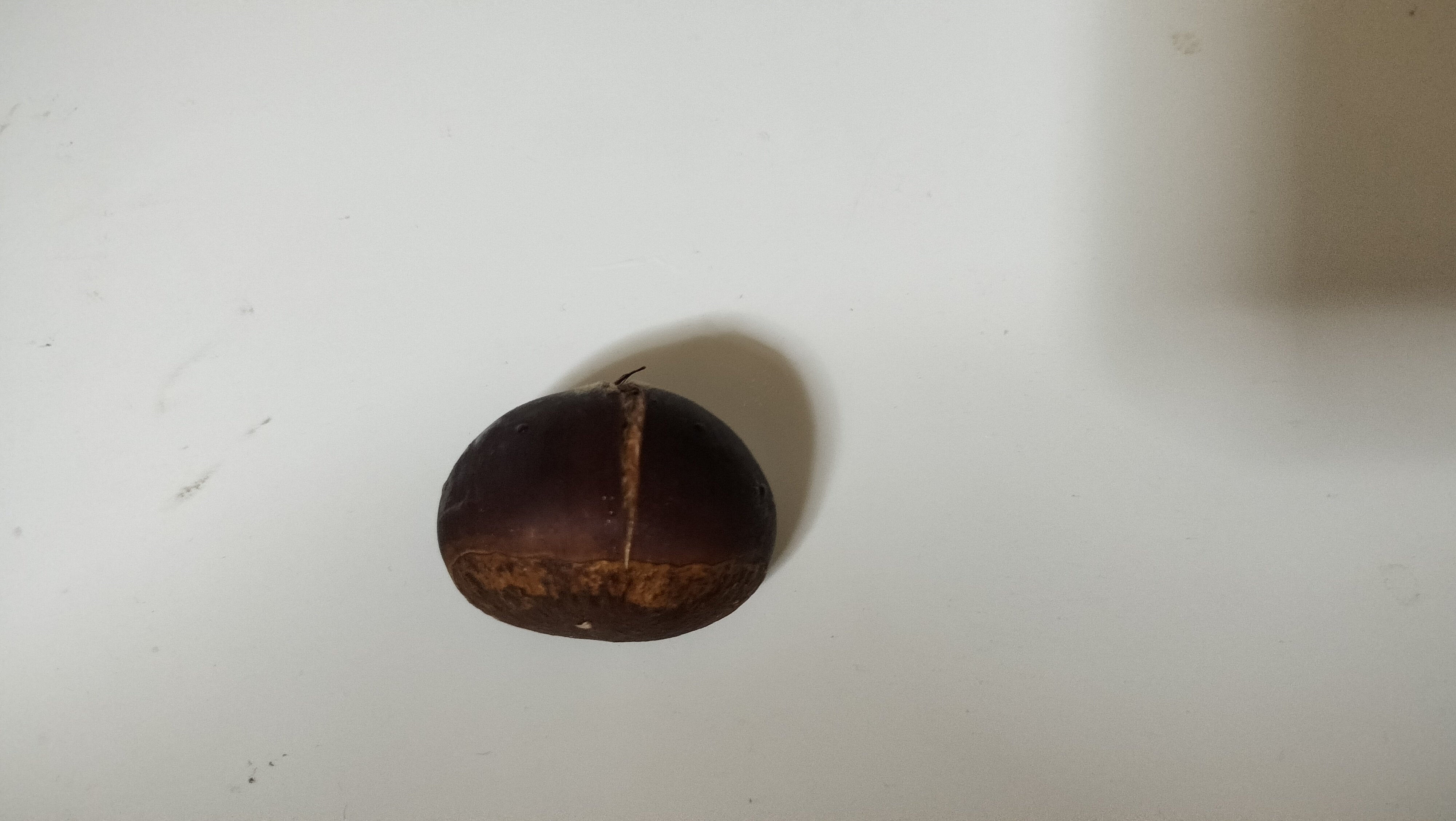 あーちゃんさん専用利平栗 彩の栗＆とき和ロール利平栗＊ アカシエ オンラインショップ