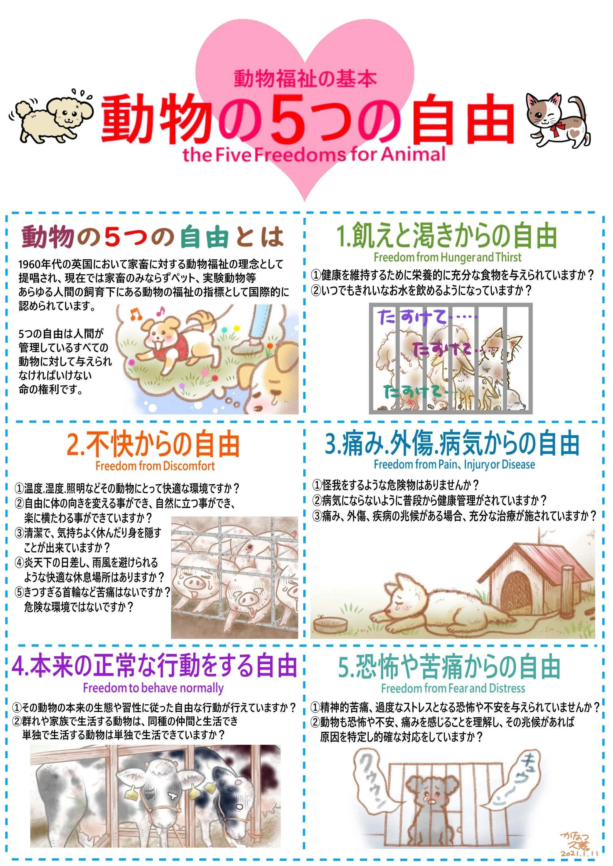 世界に広がる動物福祉の潮流と日本の課題｜藤田英明（Hideaki FUjita）