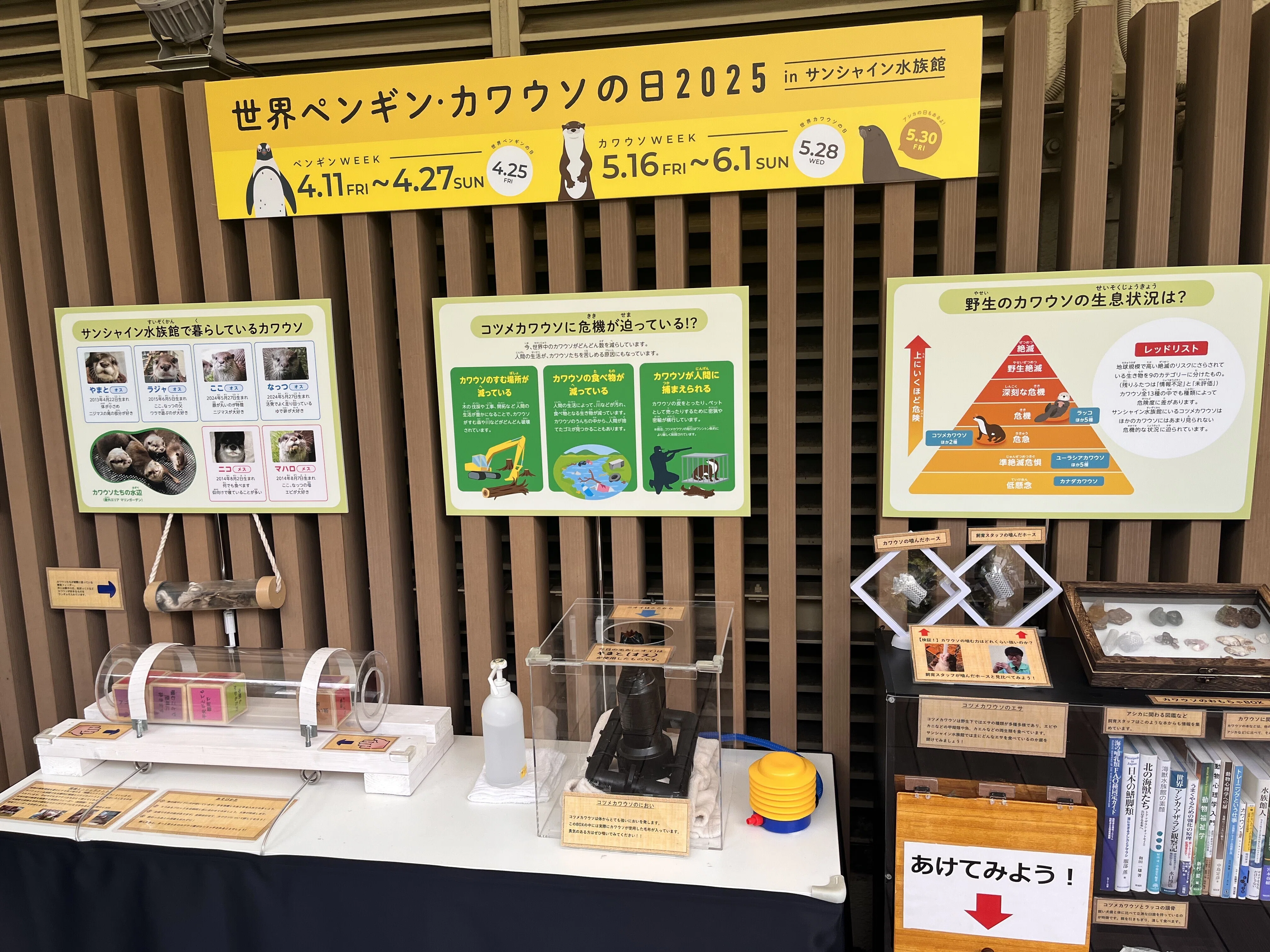 カワウソページ 1752707087-