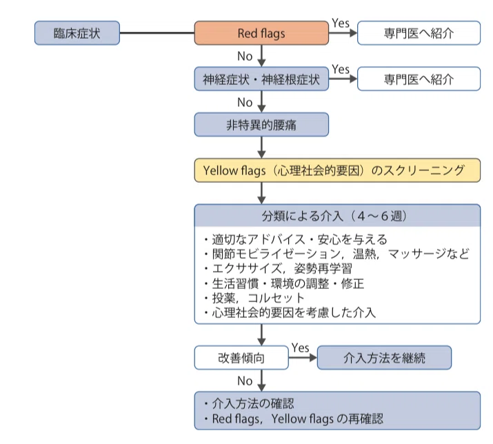腰痛の臨床推論の全体フロー。Red flagsの除外、Yellow flagsの評価、身体機能評価へと進む流れ