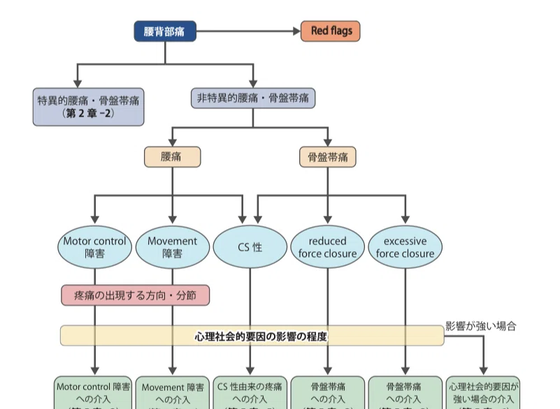 腰痛に対する運動療法のクラシフィケーション図。Motor control障害とMovement障害の分岐