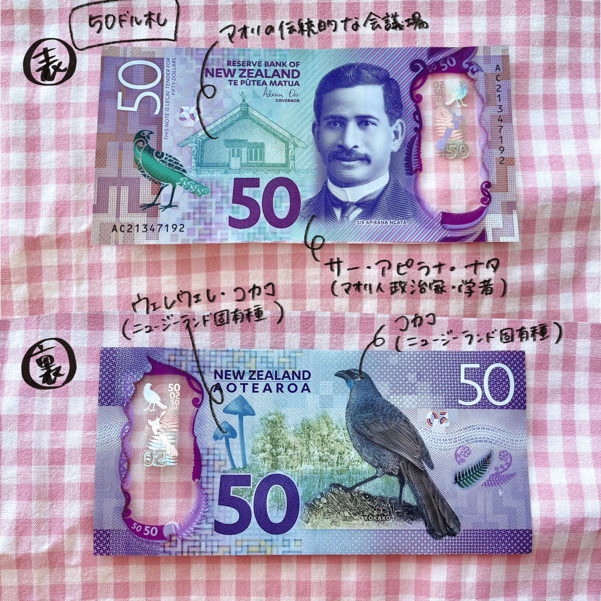 紙幣 ニュージーランドドル 50ドル札 一枚 キレイ｜Yahoo!フリマ（旧