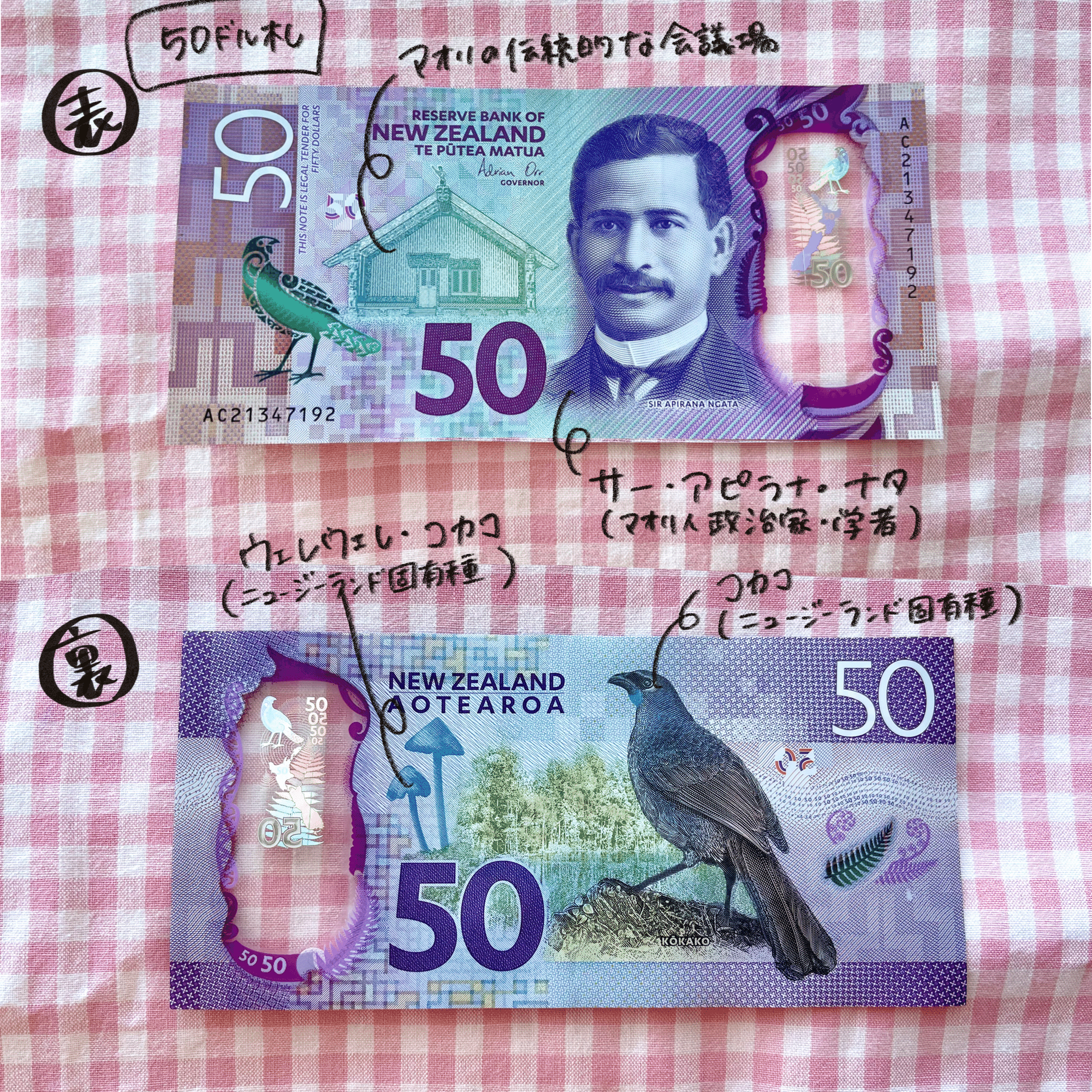 ニュージーランドの現金｜ちーまる🍒