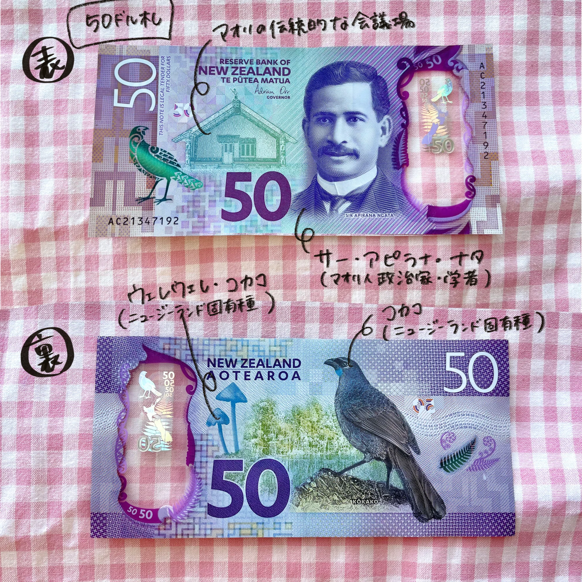 ニュージーランドの現金|ちーまる🍒 ニュージーランドの現金|ちーまる🍒