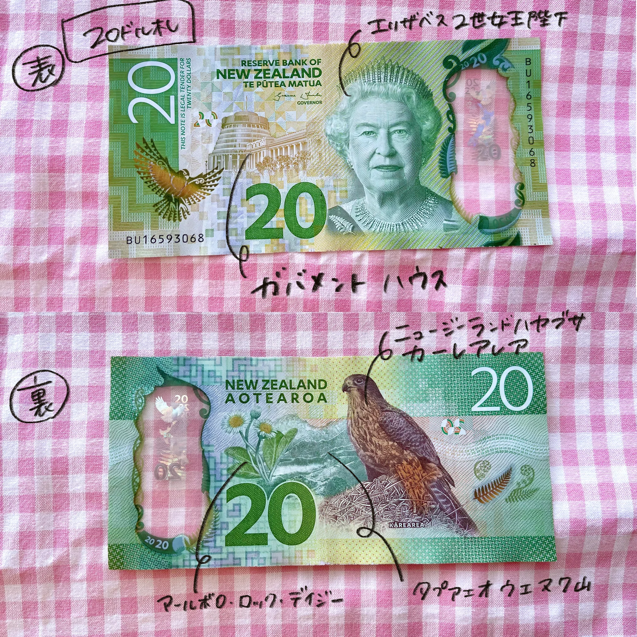 ニュージーランドの現金｜ちーまる🍒