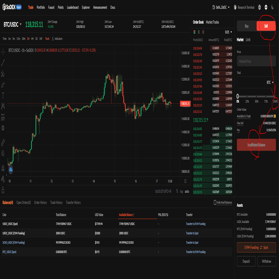 SoDEXエアドロポイントを自動で稼ぐ｜AI・ブロックチェーン研究