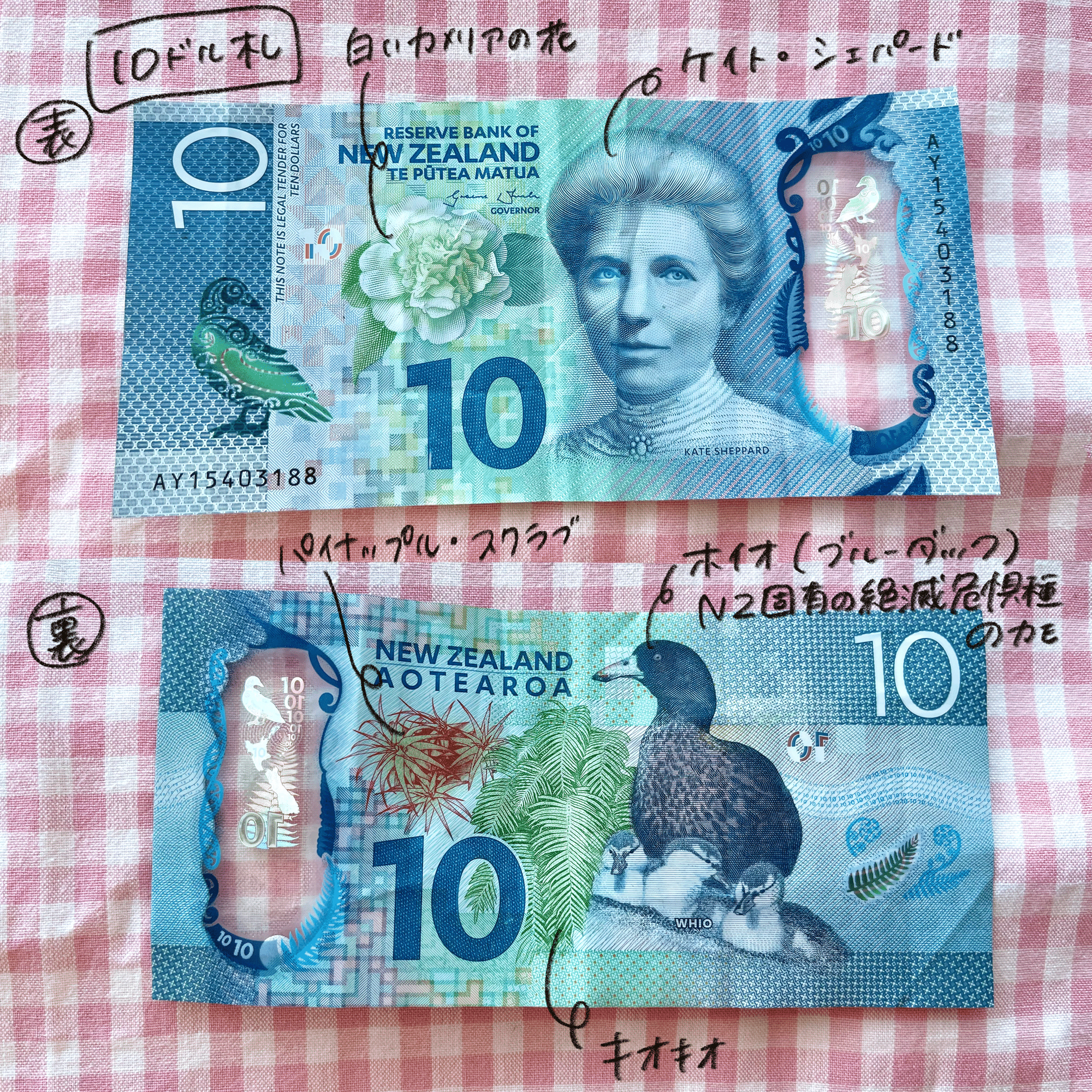 ニュージーランドの現金｜ちーまる🍒