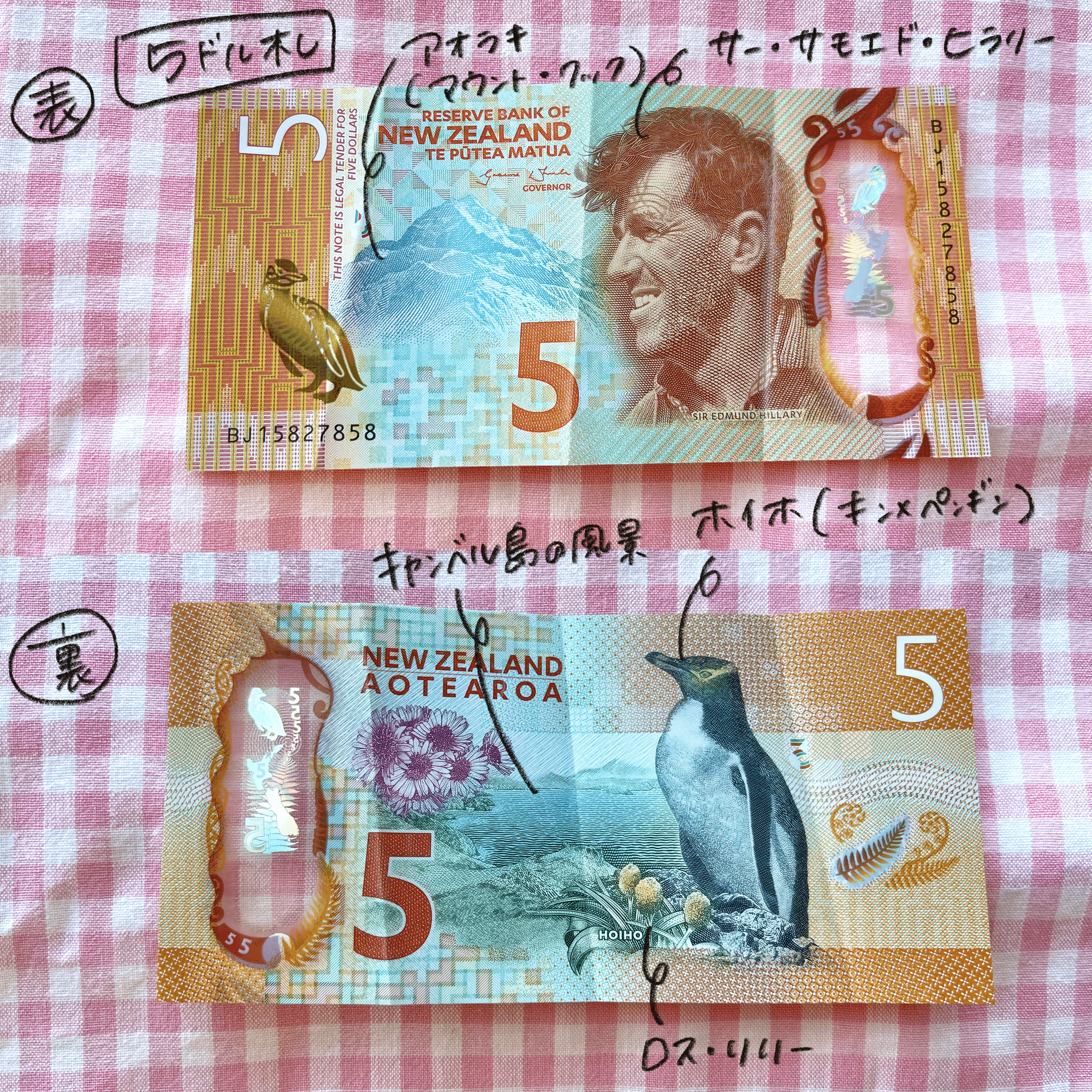 ニュージーランドの現金|ちーまる🍒 ニュージーランドの現金|ちーまる🍒