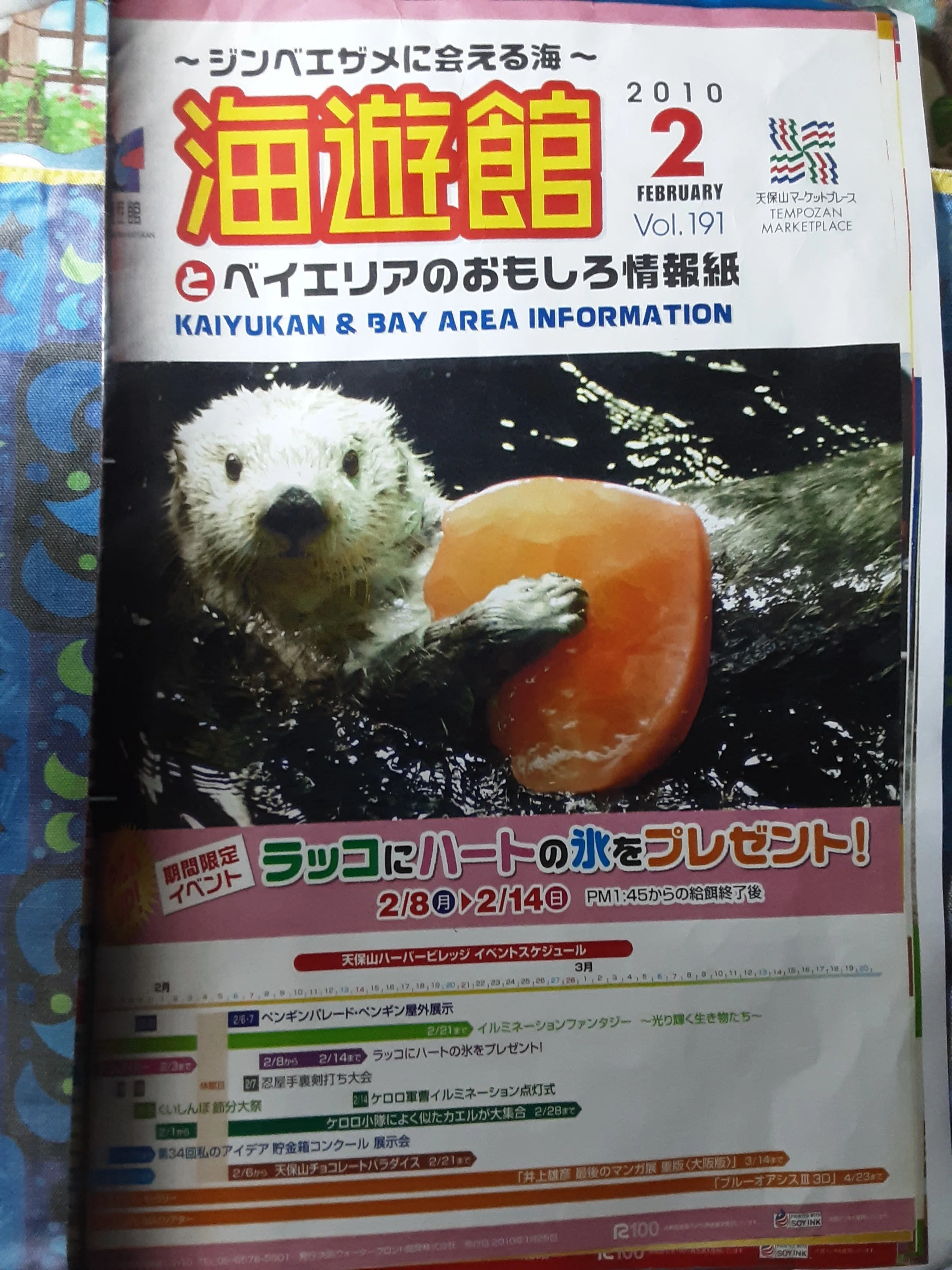 海遊館のラッコたち｜ロフタス