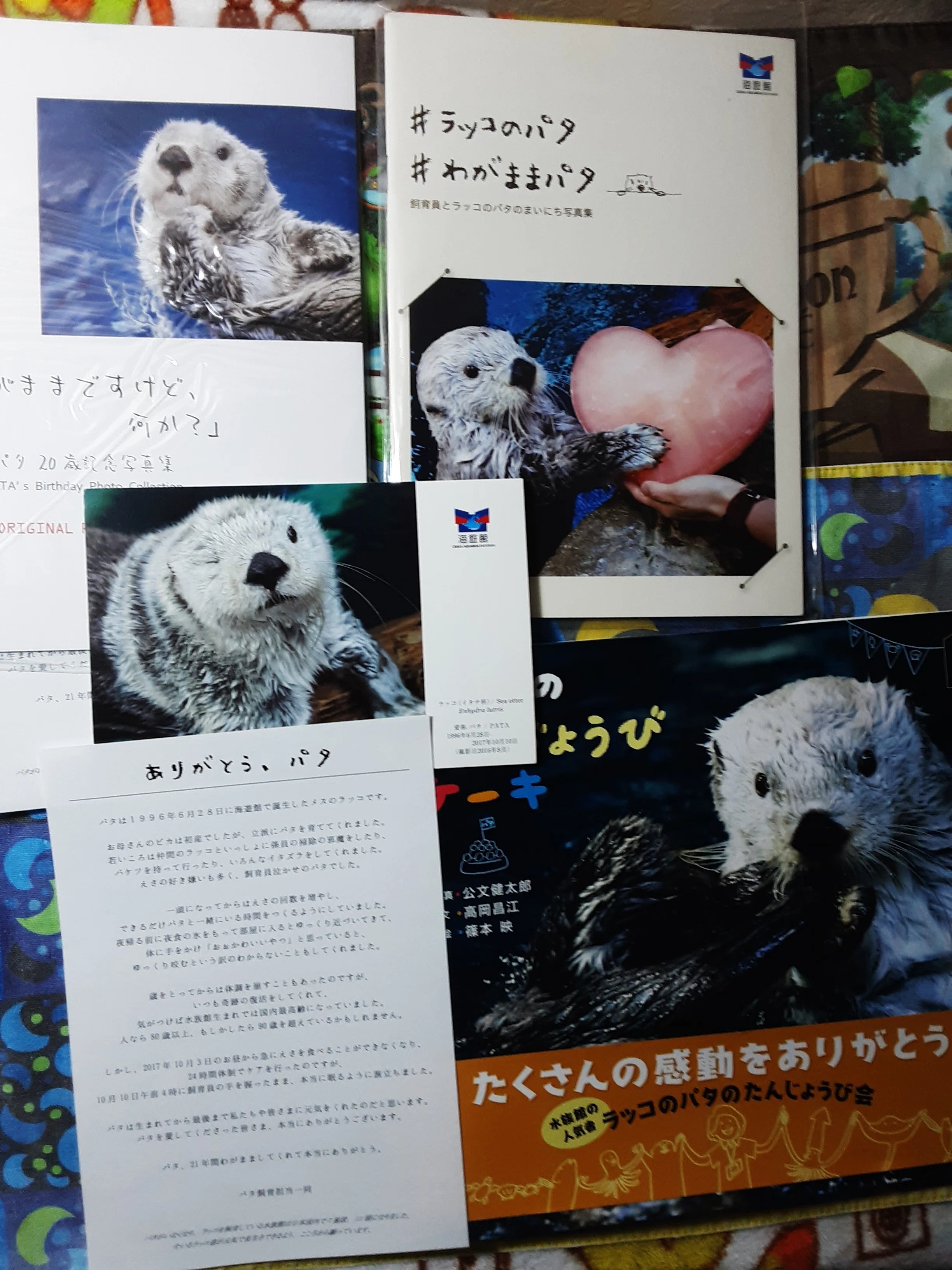 海遊館のラッコたち｜ロフタス