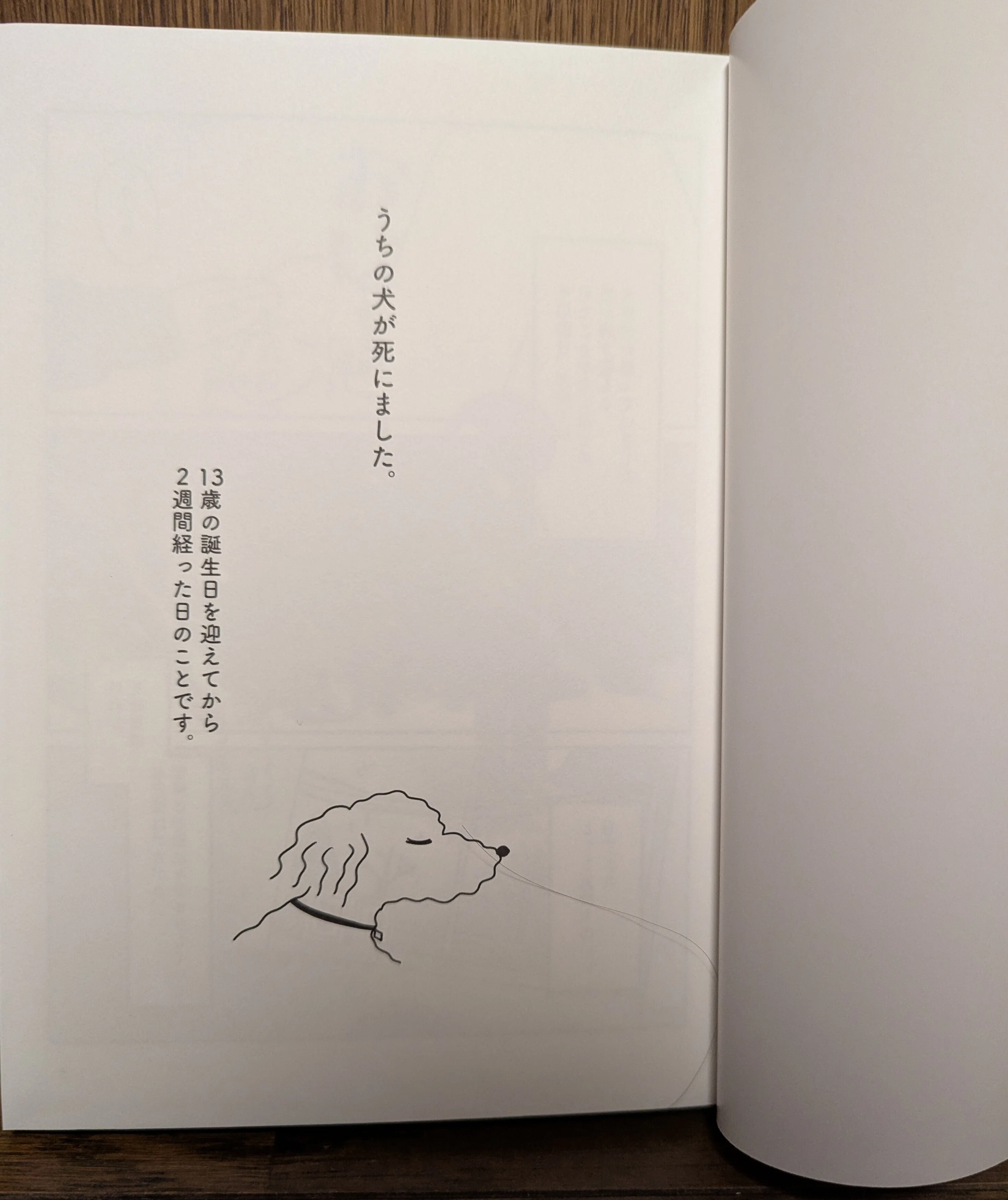 サイン本レポin佐賀之書店｜佐賀ロン