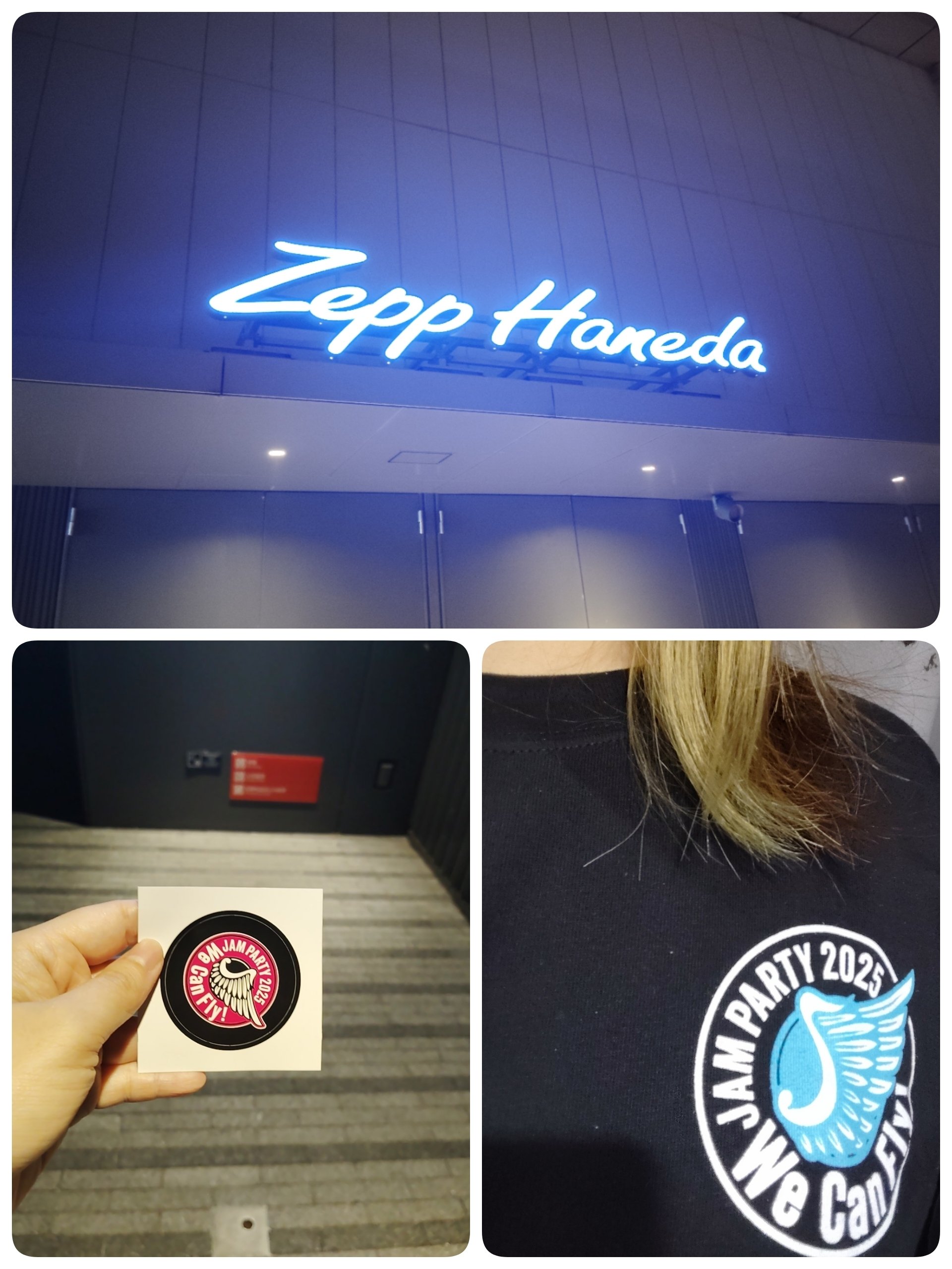 シバコ　おまとめ 柴子ちゃんを迎えるためのリンクと情報 | TikTok