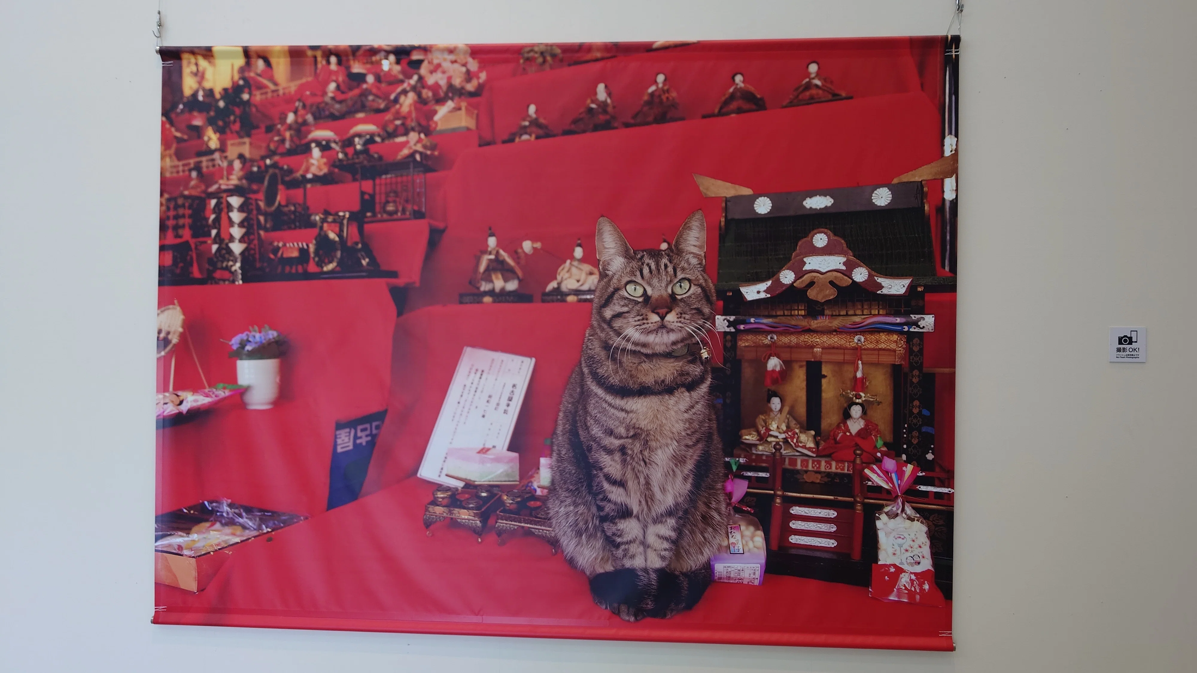 日本ねこ歩き写真展｜273