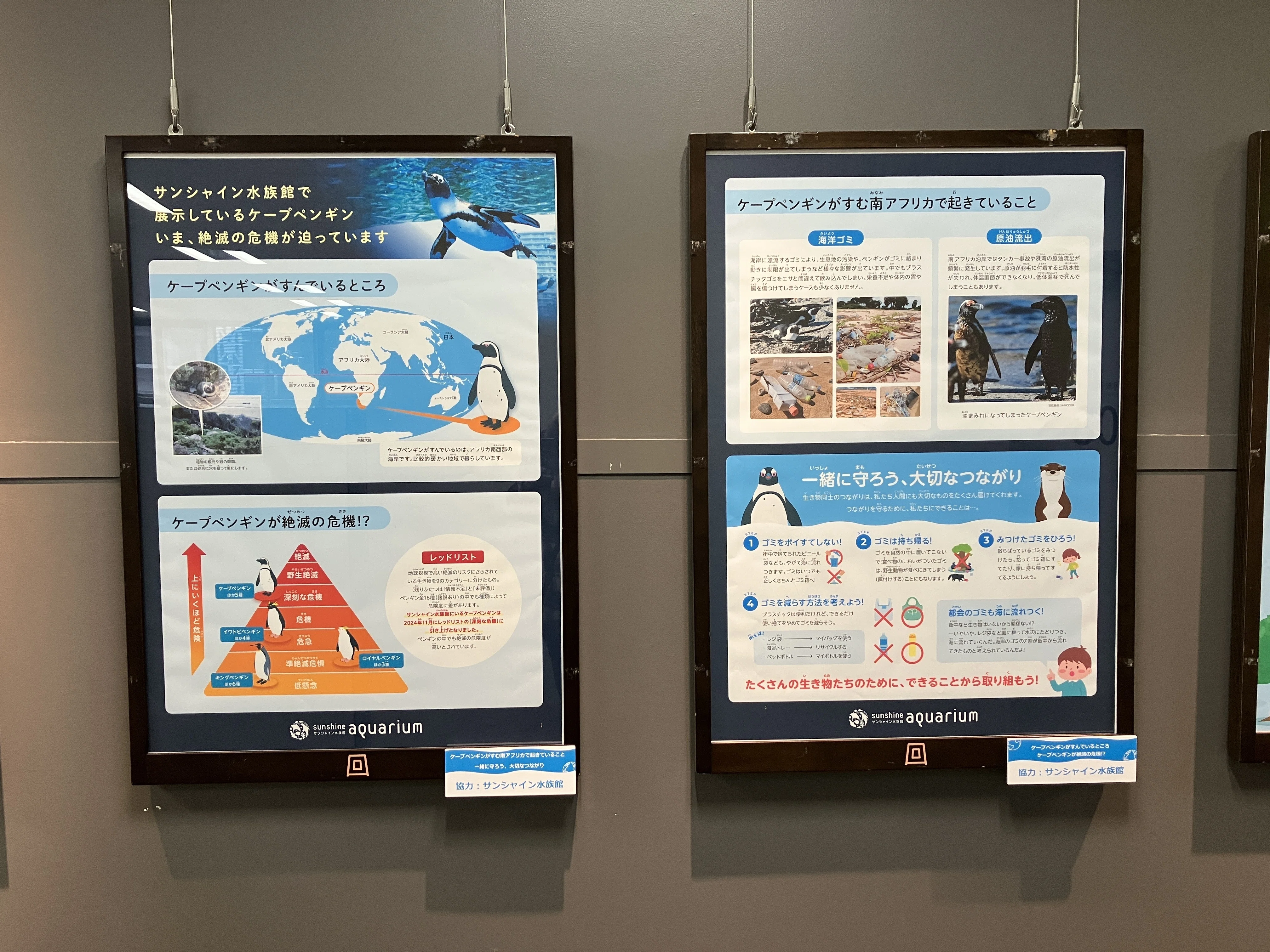 かわいい」から、その先の一歩へ。ペンギンとカワウソから考える「今