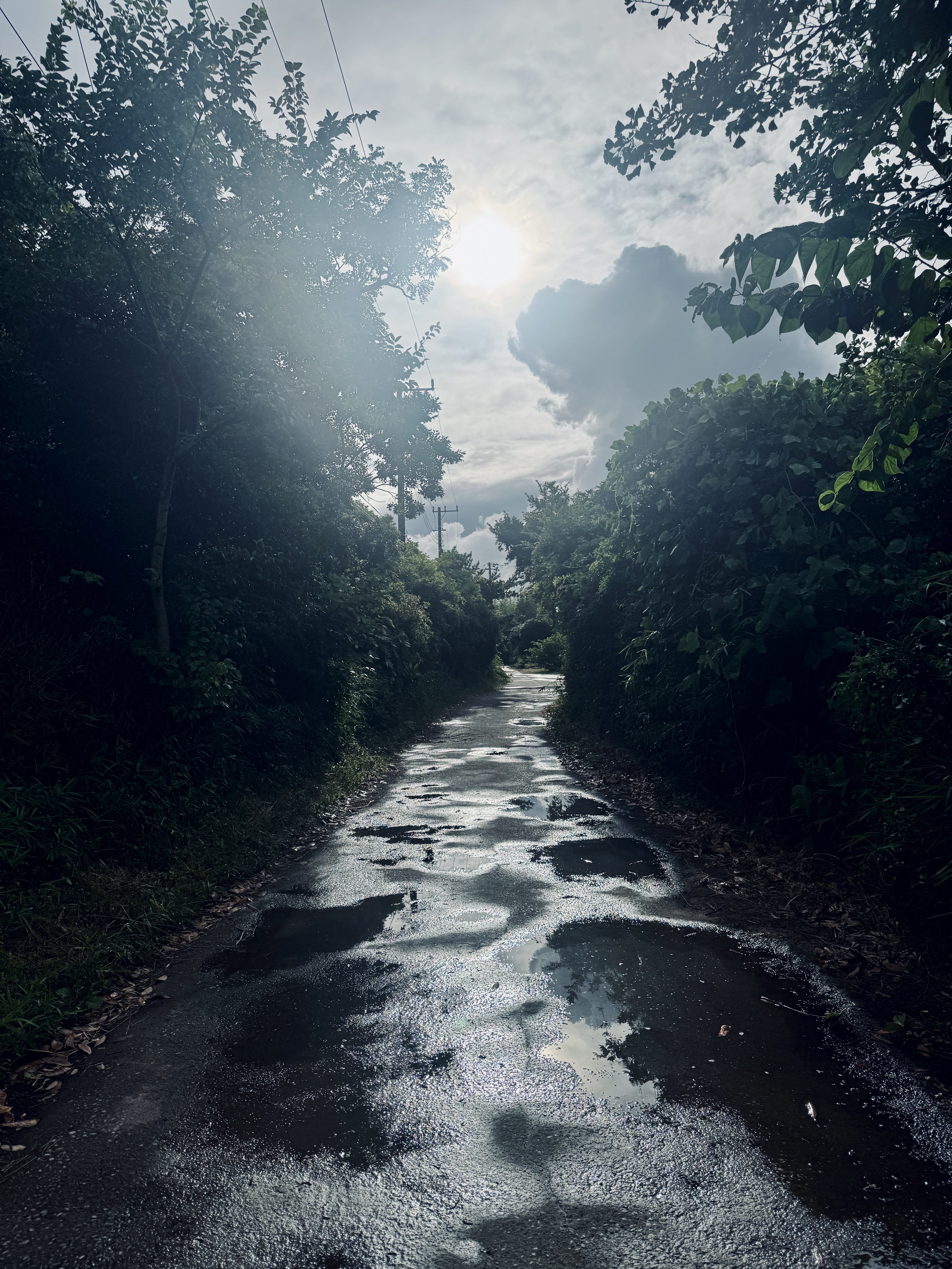 写真が楽しくないと思ったらZfを片手に、10年ぶりに海へ向かった日