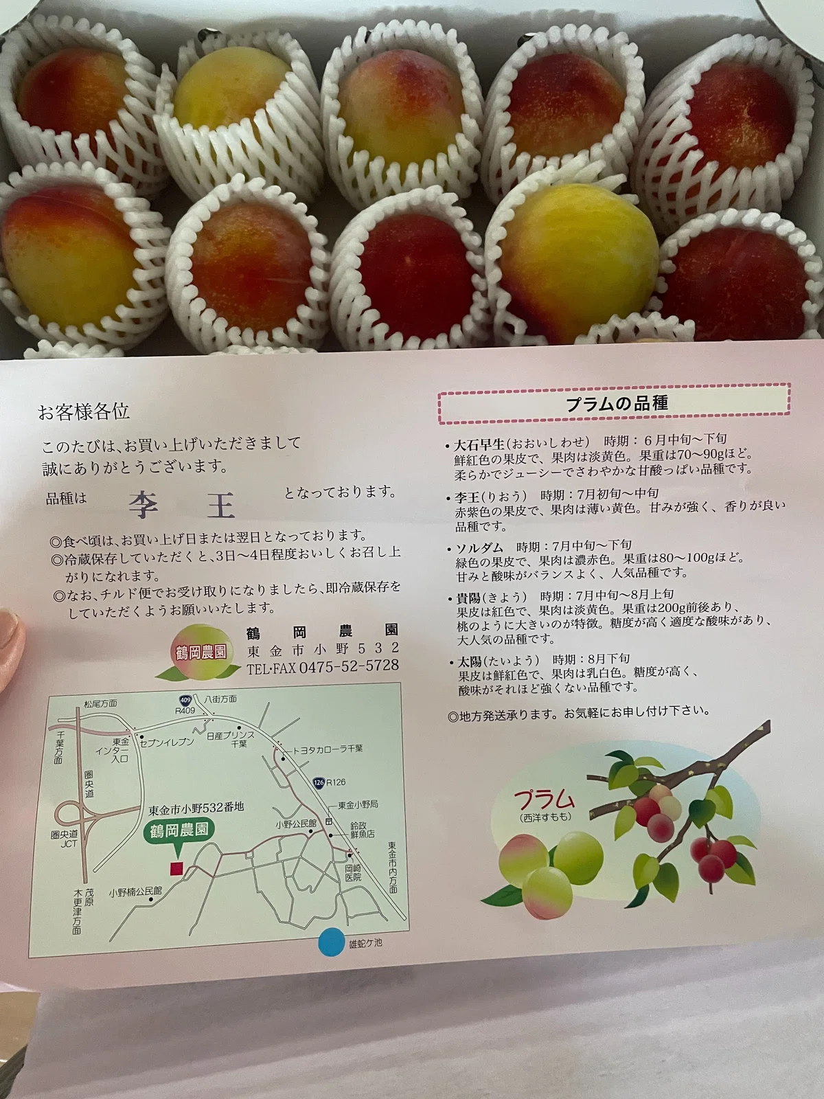 [Delicious Things] Plum｜便利屋Smile Bee スマイルビー