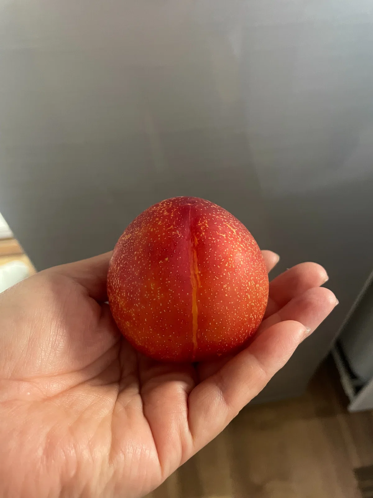 [Delicious Things] Plum｜便利屋Smile Bee スマイルビー