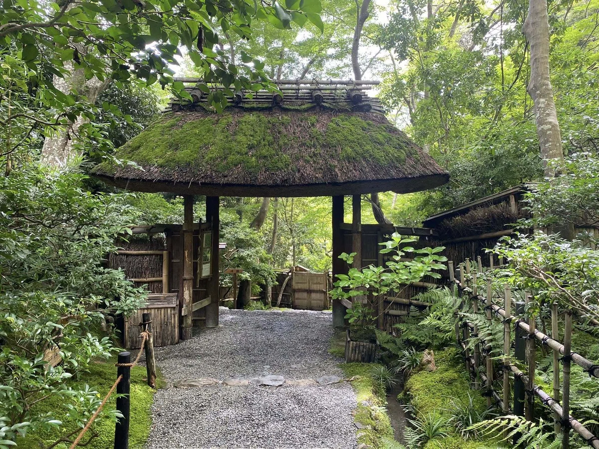 苔・茅葺・葵が織りなす幽玄の祇王寺をご案内♪|雅京都観光