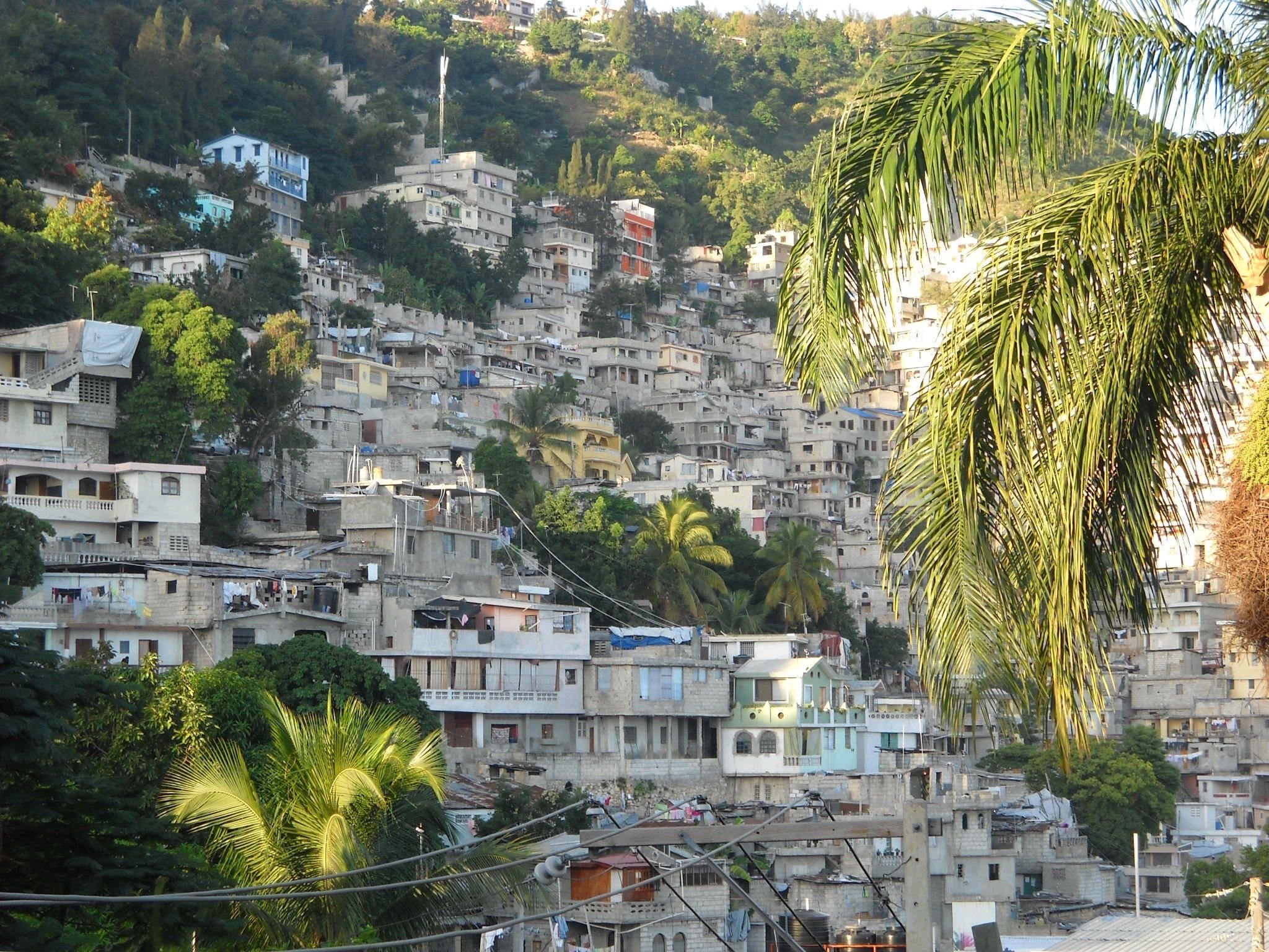 ヘイシャン アート2