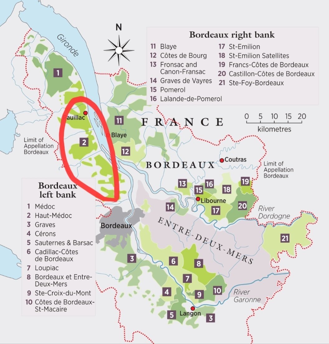 🇫🇷ボルドーから公共交通機関で行けるワイナリー、Château