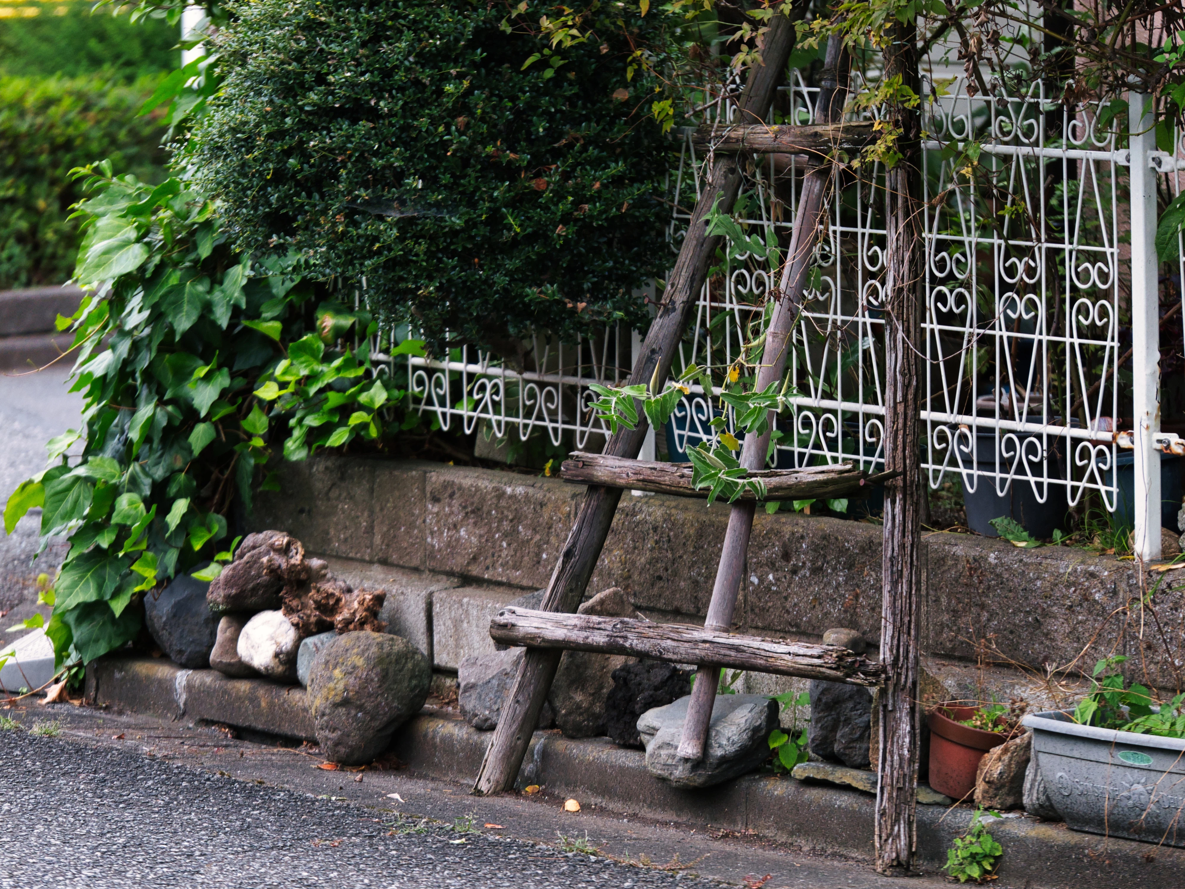 "LUMIX G X VARIO 35-100mm/F2.8/POWER O.I.S" Capturing the Green of ...