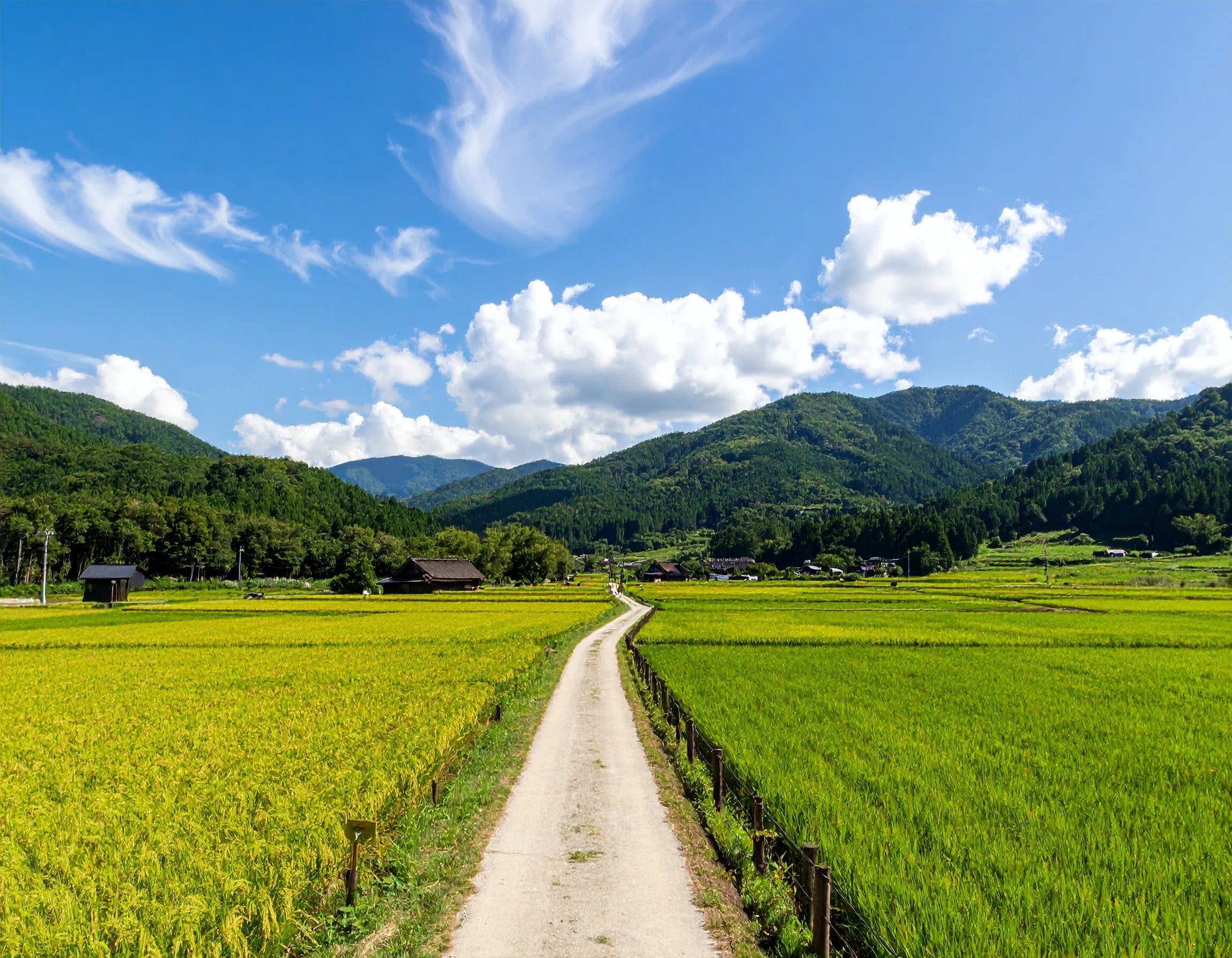Firefly勉強記】30日目〜夏の田舎風景〜｜森まり｜会社員＆副業Webライター