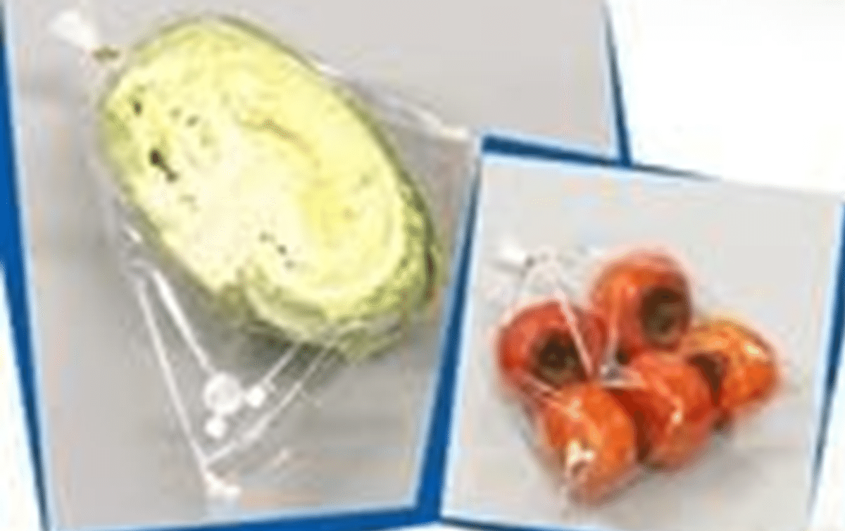 値下げ‼️鮮度保持のため冷蔵保存してます！ Amazon｜ニッコー 冷凍冷蔵 保存パック スライダー式 ジッパー L