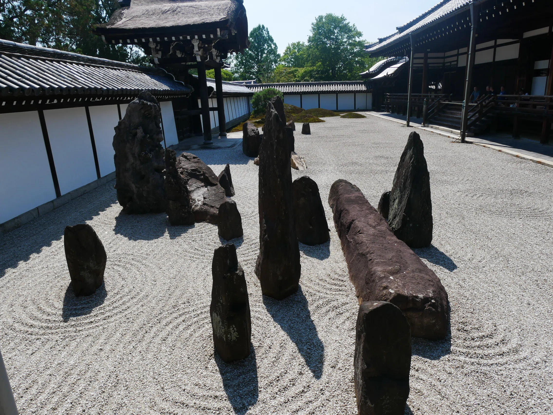 598 夏の京都・東福寺散策｜ミヤコカエデ（Miyako Kaede)