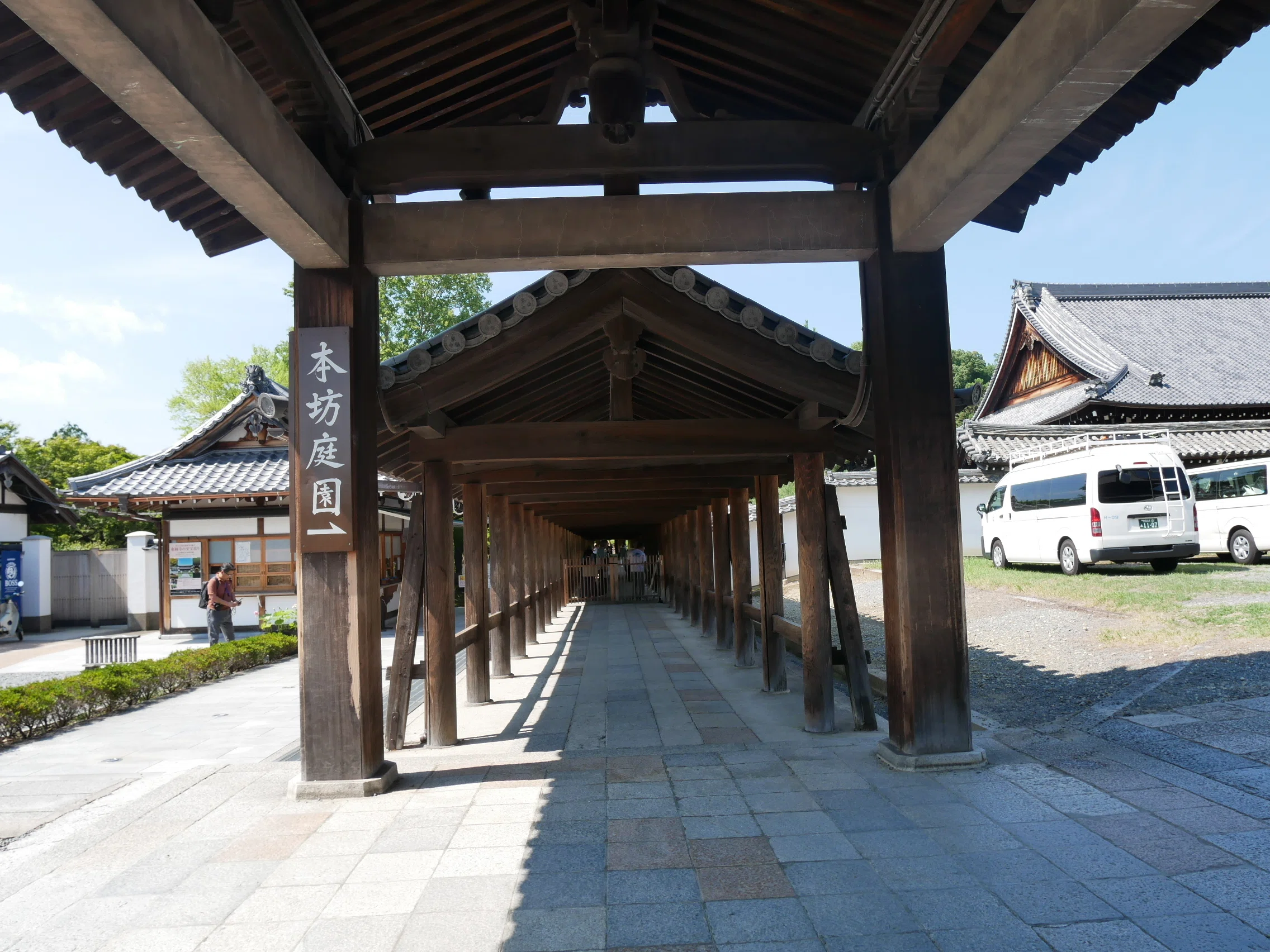 ■東福寺誌　白石虎月　編思文閣出版　昭和54年 598 夏の京都・東福寺散策｜ミヤコカエデ（Miyako Kaede)