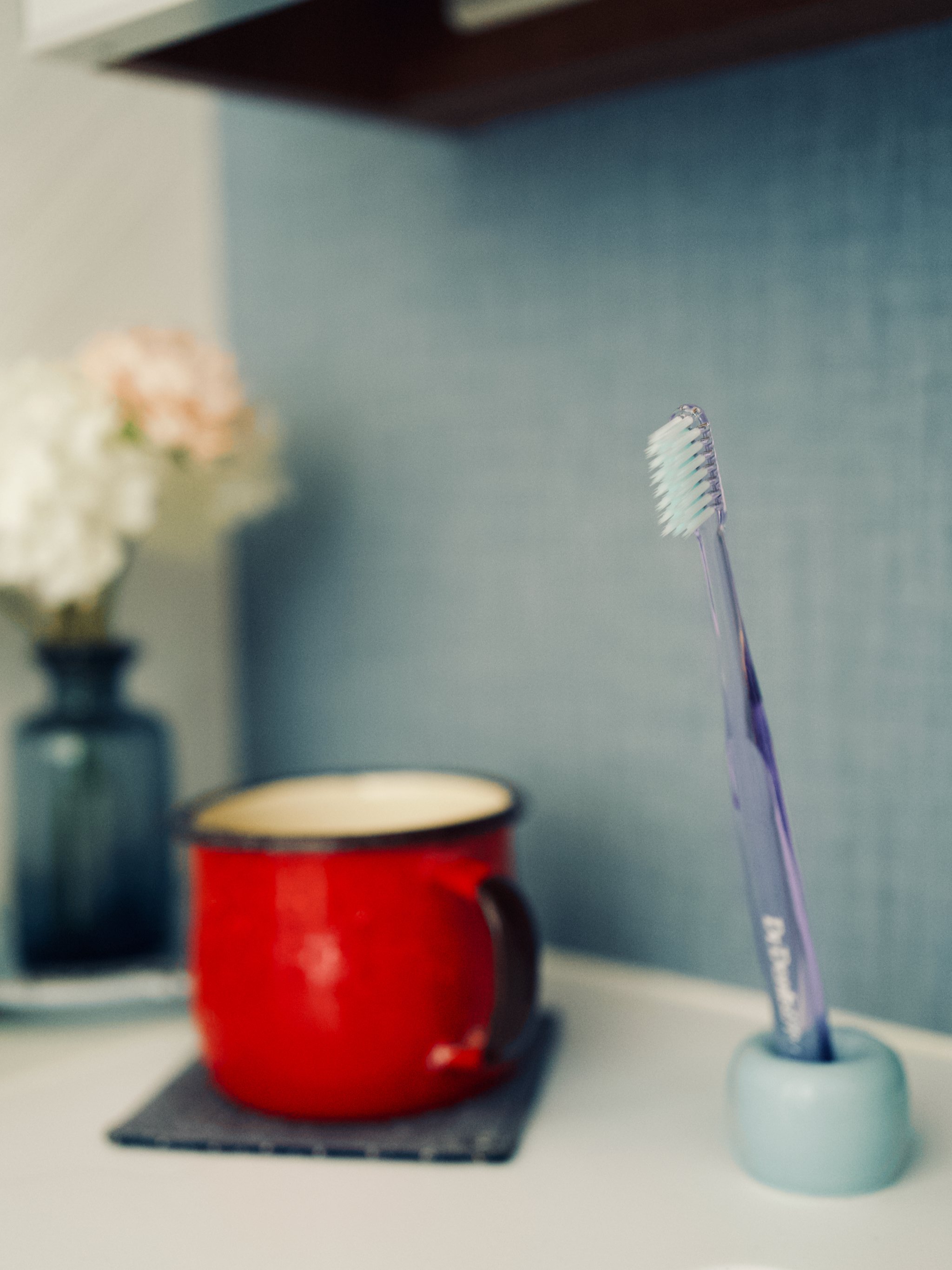 カメラ多頭飼いの愉しみ〜2014年と2024年のカメラと。｜飯田有抄