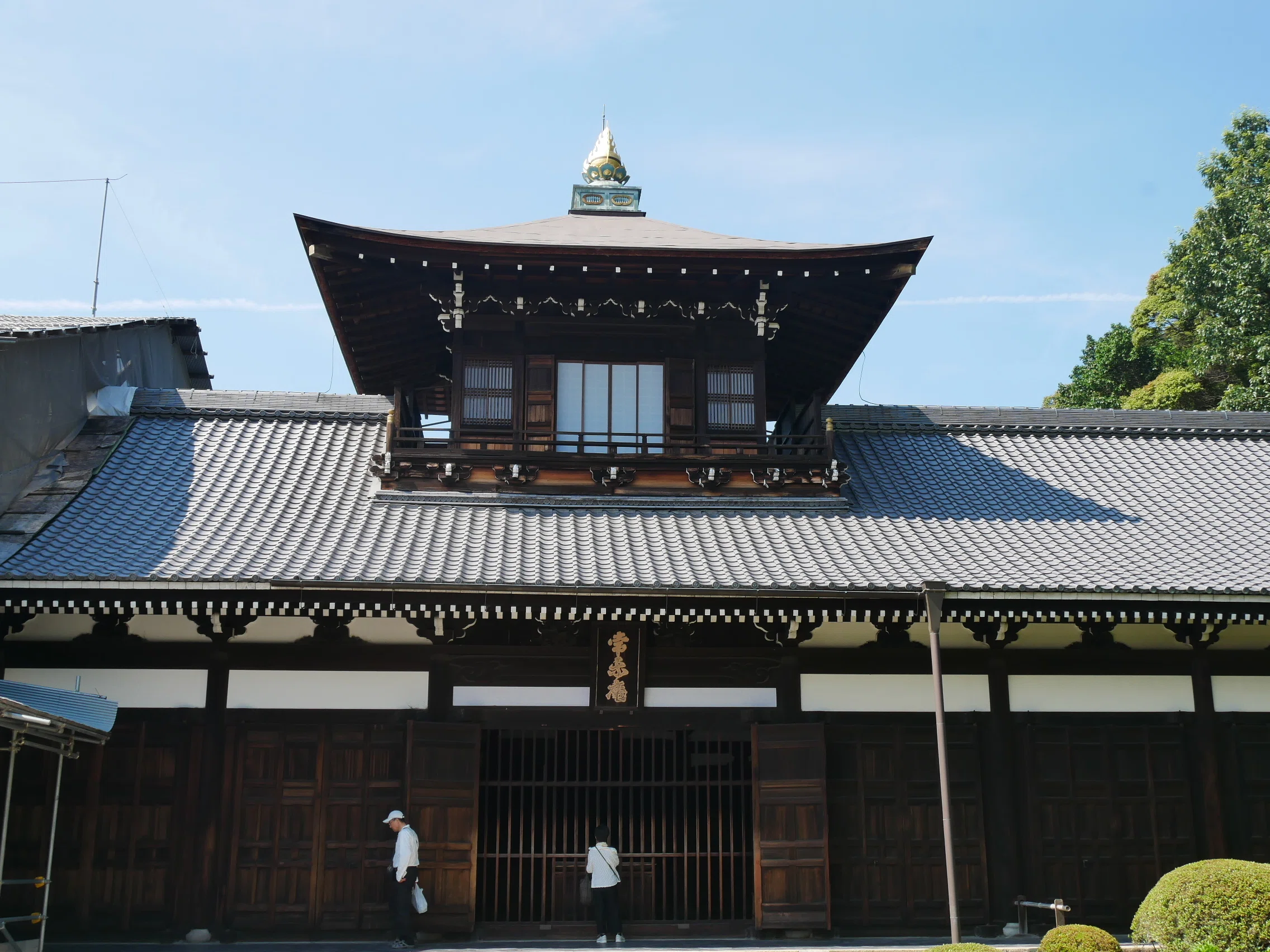 598 夏の京都・東福寺散策｜ミヤコカエデ（Miyako Kaede)