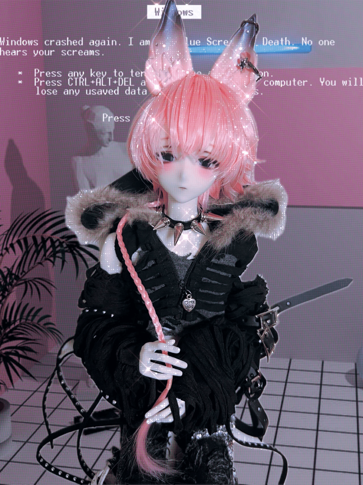 DOLLZONEの小初をお迎えしました。｜犬鳴