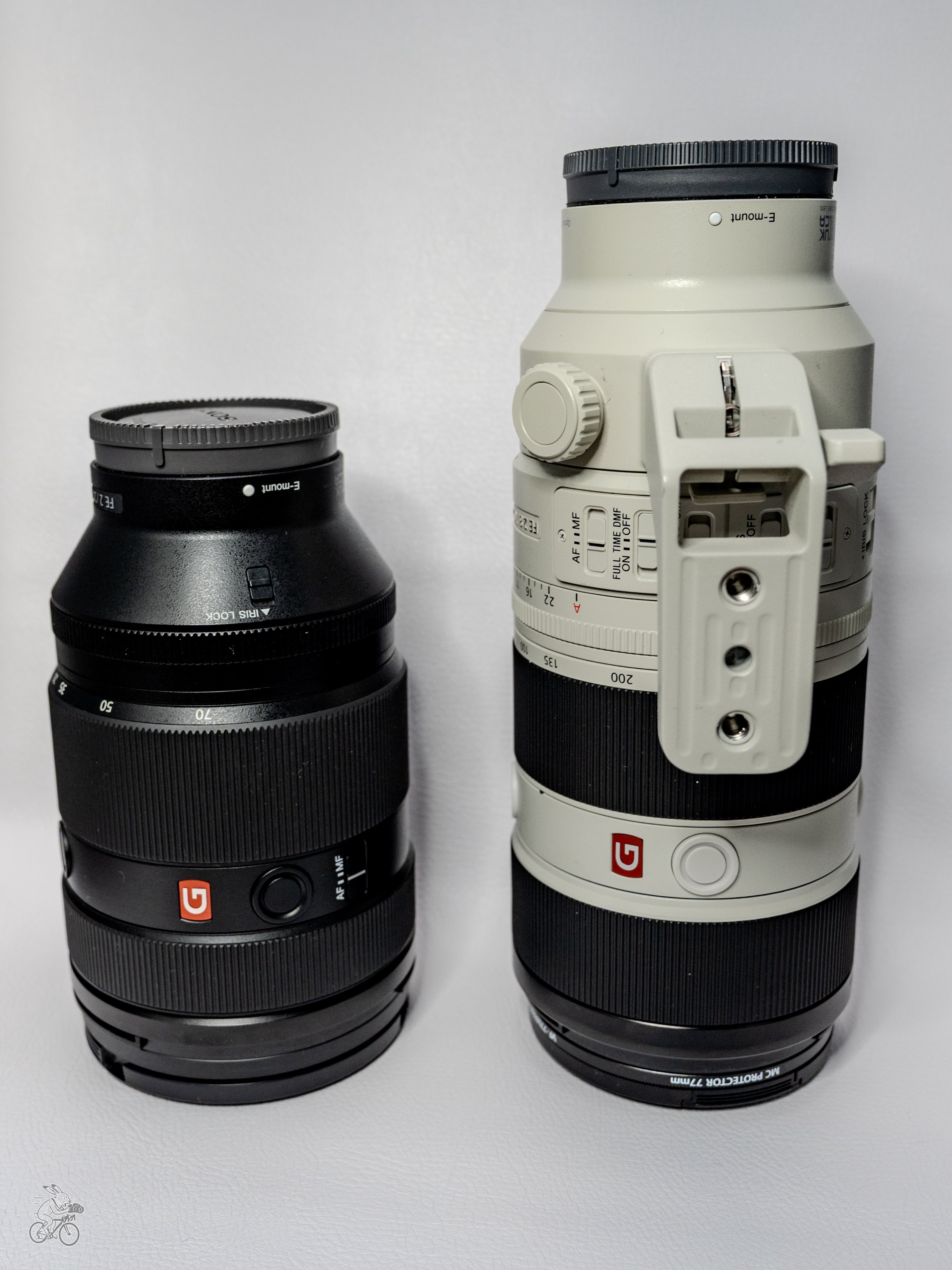 実機レビュー】Sony FE 28-70mm F2 GM、レンタルで分かったポイント